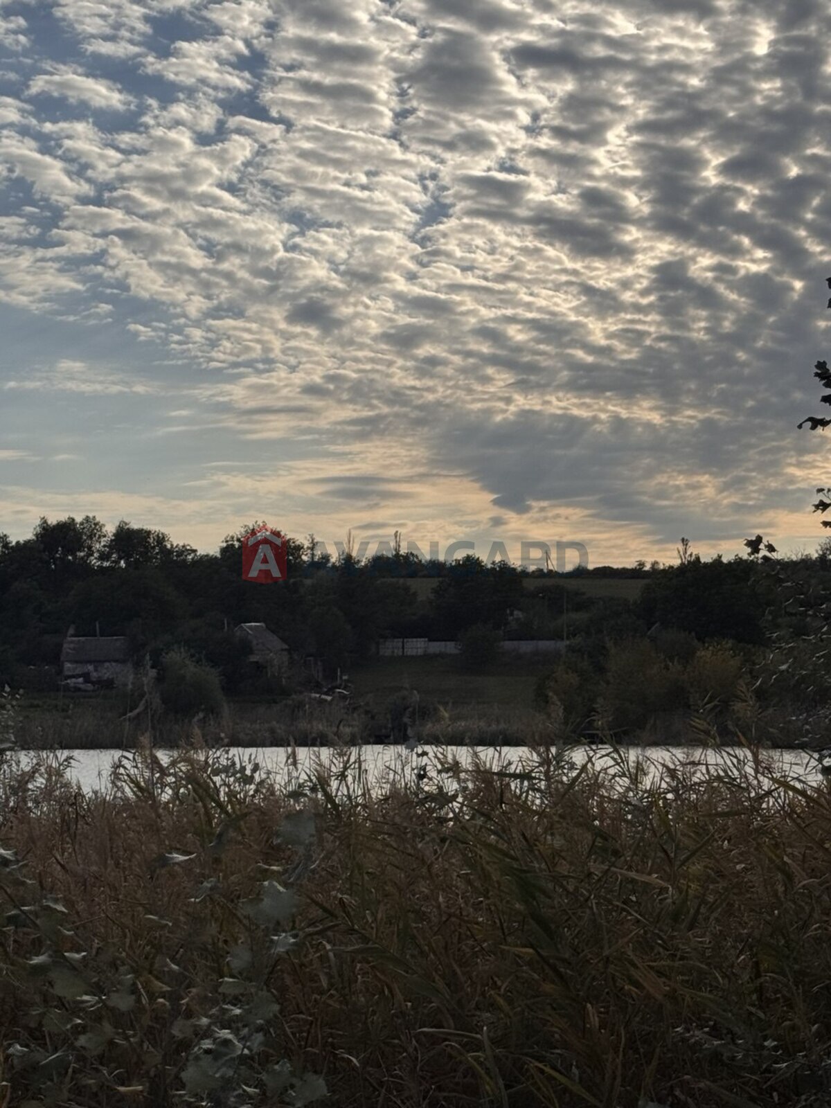 �������, 198 ��.�. ���� 1
