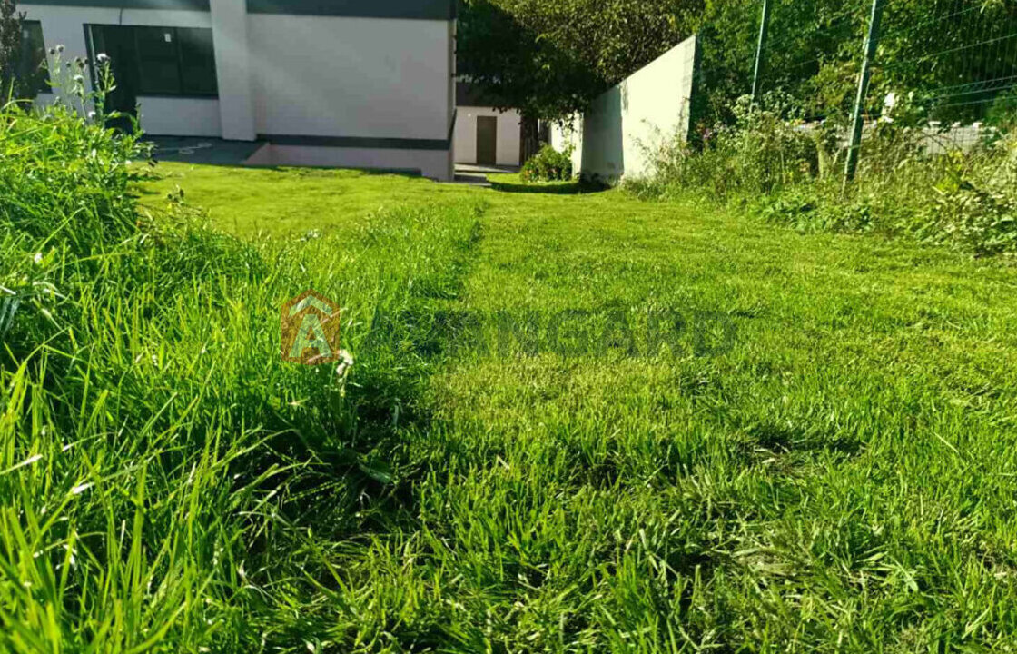 �������, 167 ��.�. ���� 15