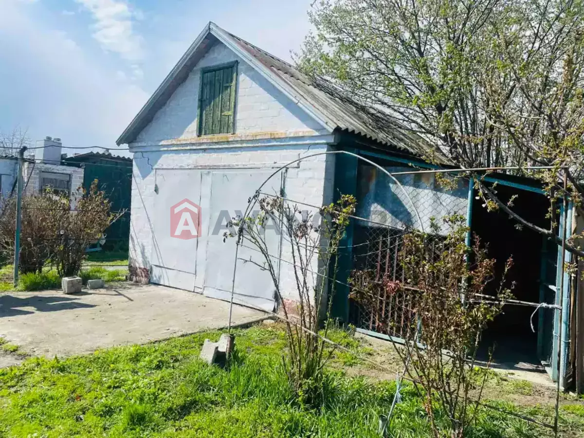 �������, 50 ��.�. ���� 1