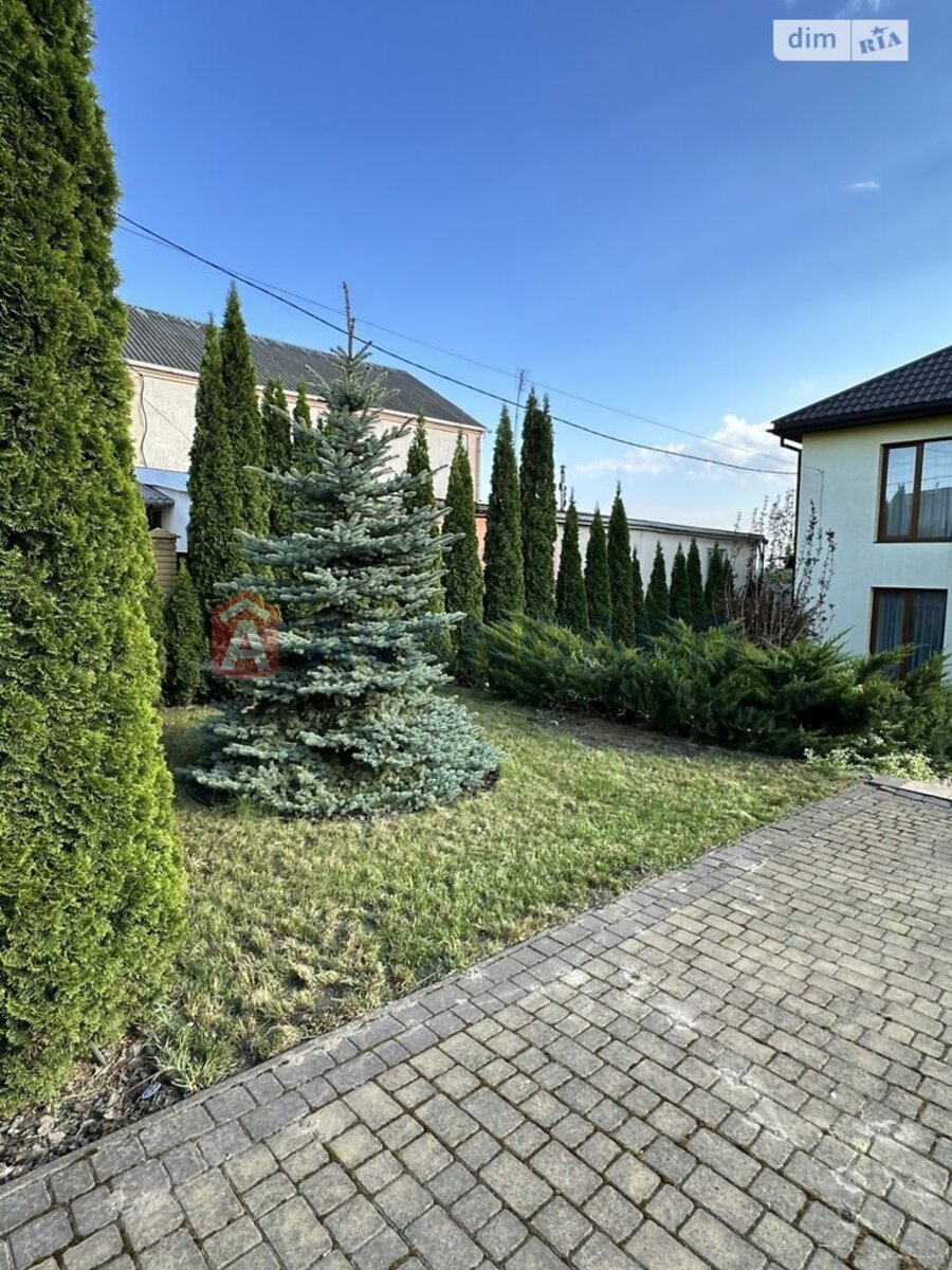 �������, 295 ��.�. ���� 3