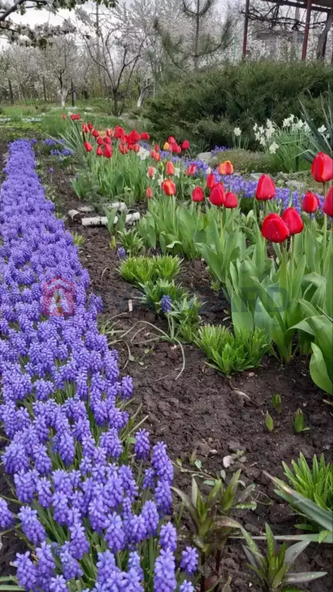 ����, 30 ��.�. ���� 9