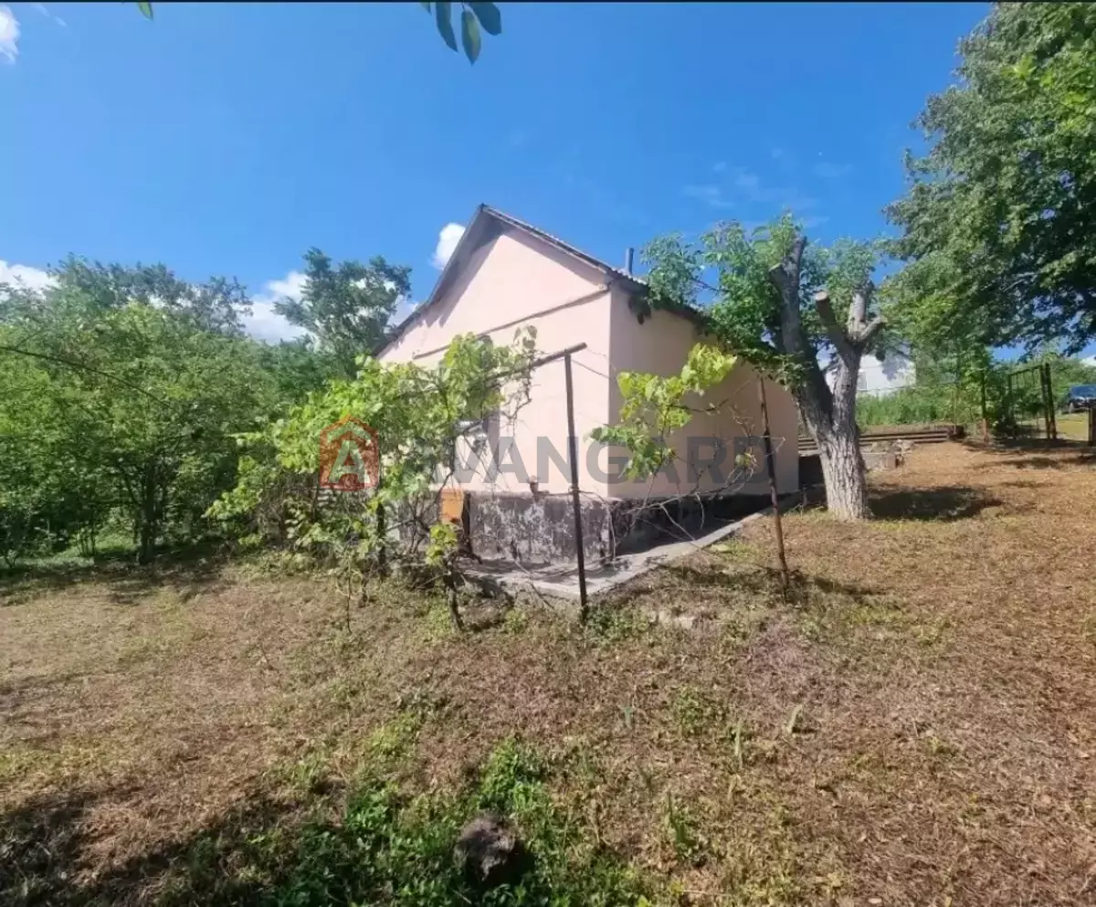 ����, 35 ��.�. ���� 14