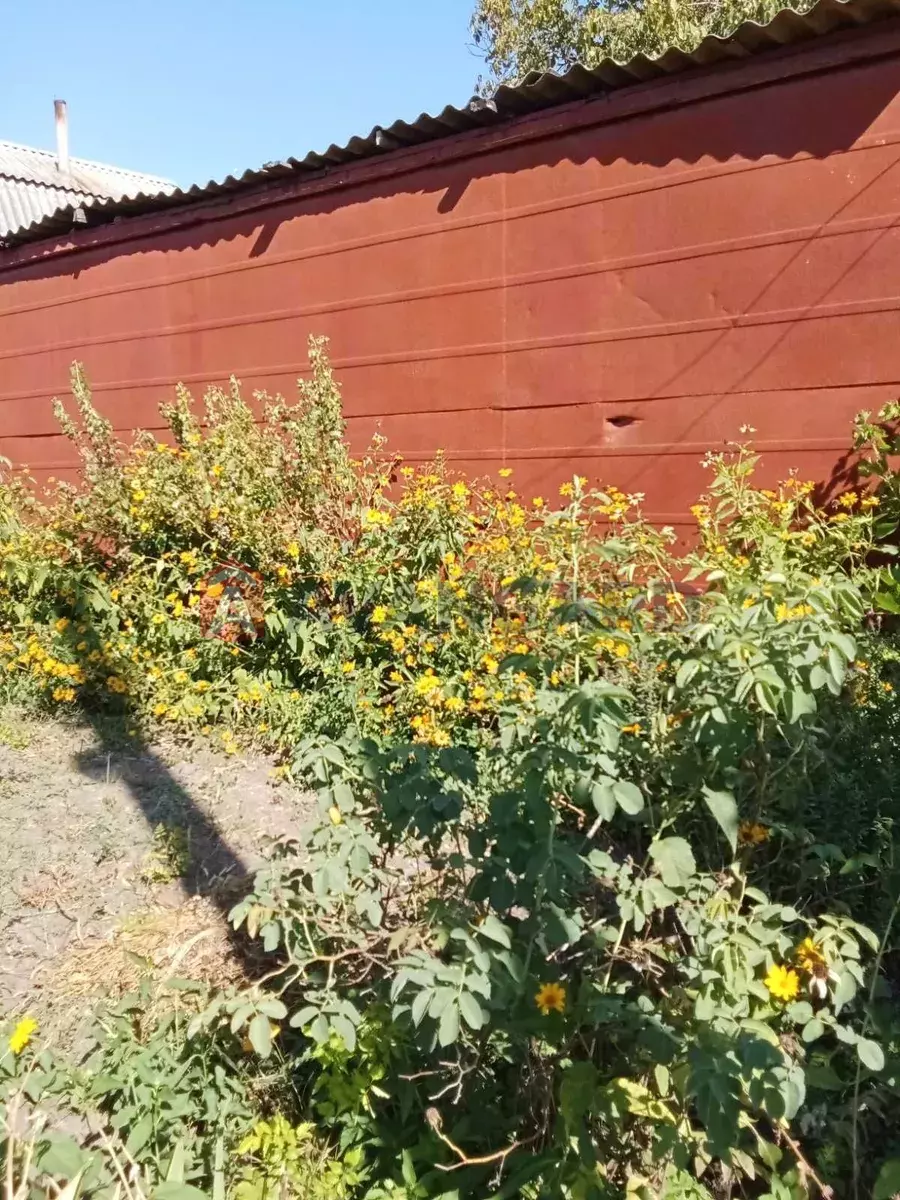 ����, 30 ��.�. ���� 2