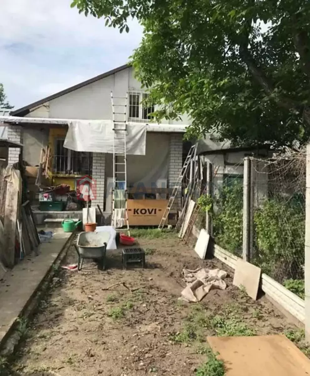 �������, 81 ��.�. ���� 2