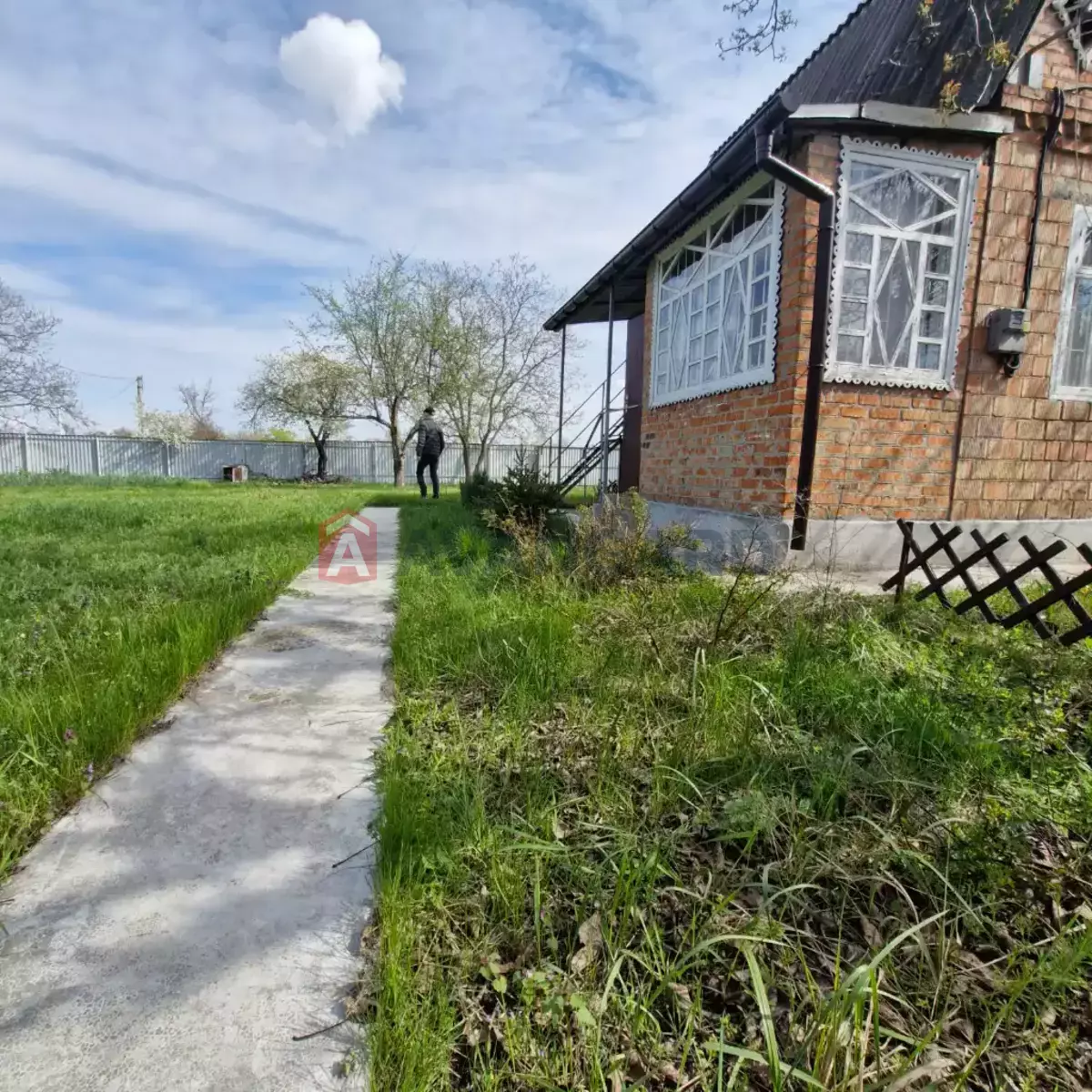 ����, 38 ��.�. ���� 7