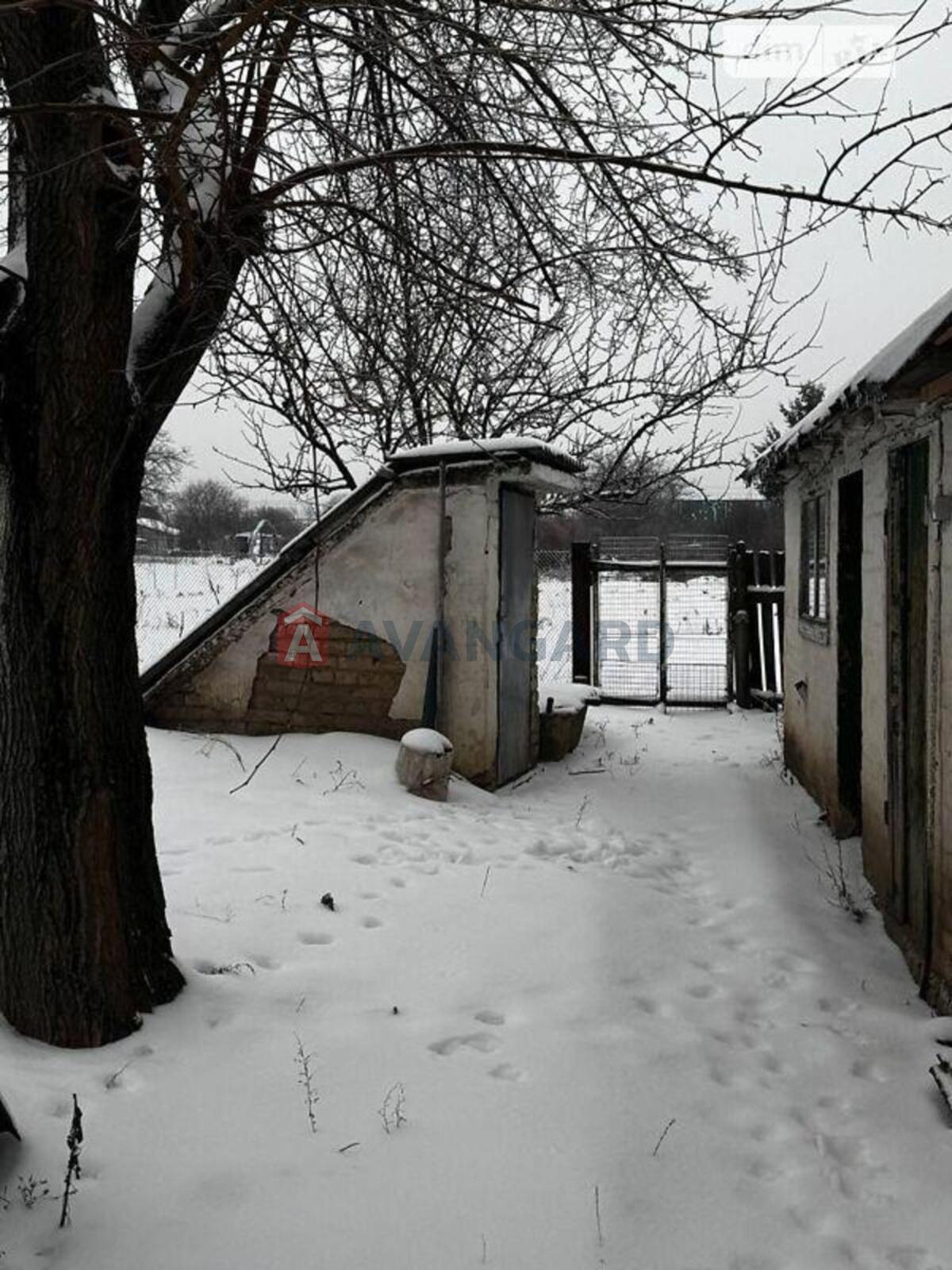 �������, 75 ��.�. ���� 11