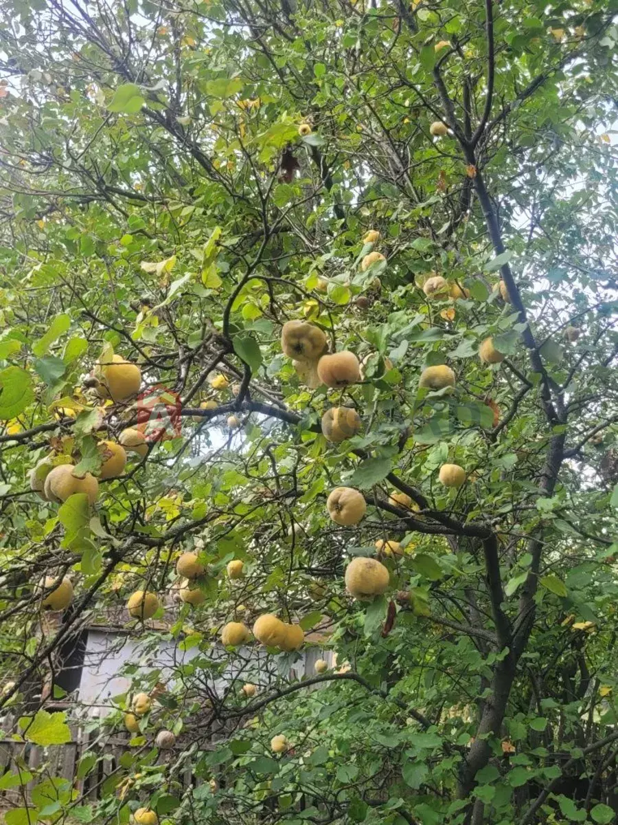 ����, 20 ��.�. ���� 6