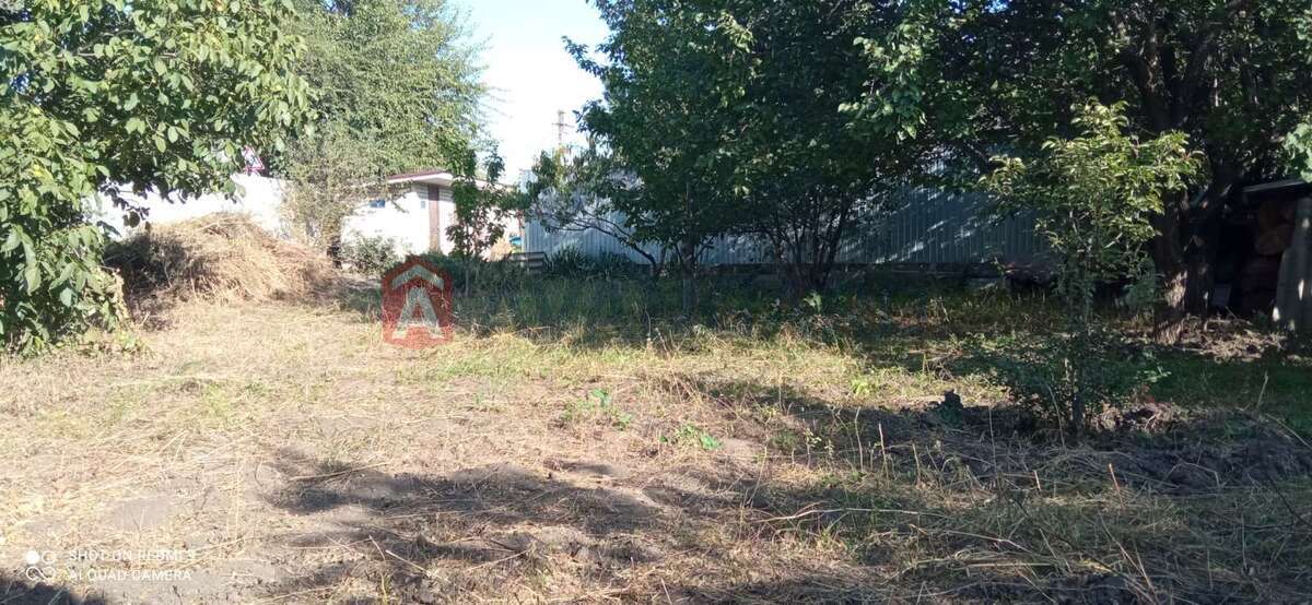 �������, 55 ��.�. ���� 4