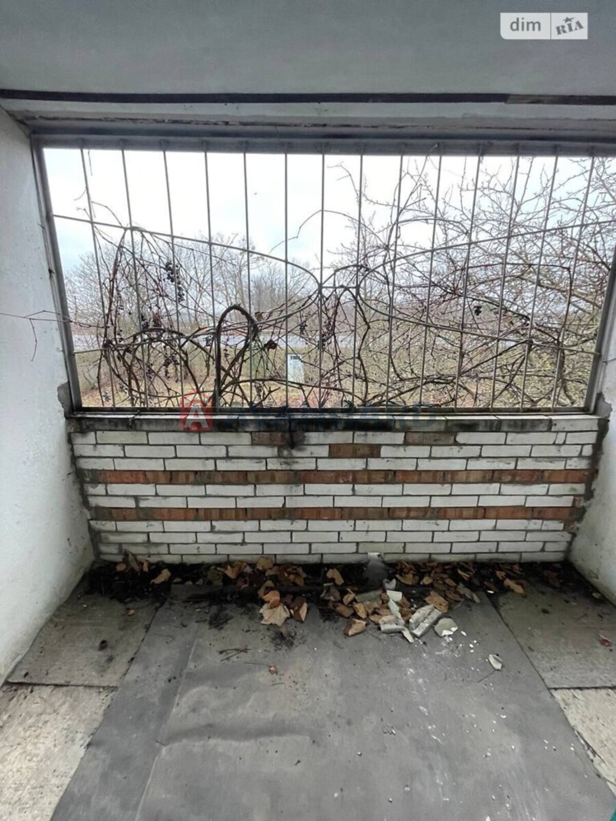 �������, 49 ��.�. ���� 18