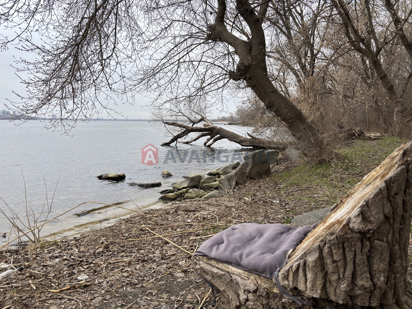 ����, 51 ��.�. ���� 16