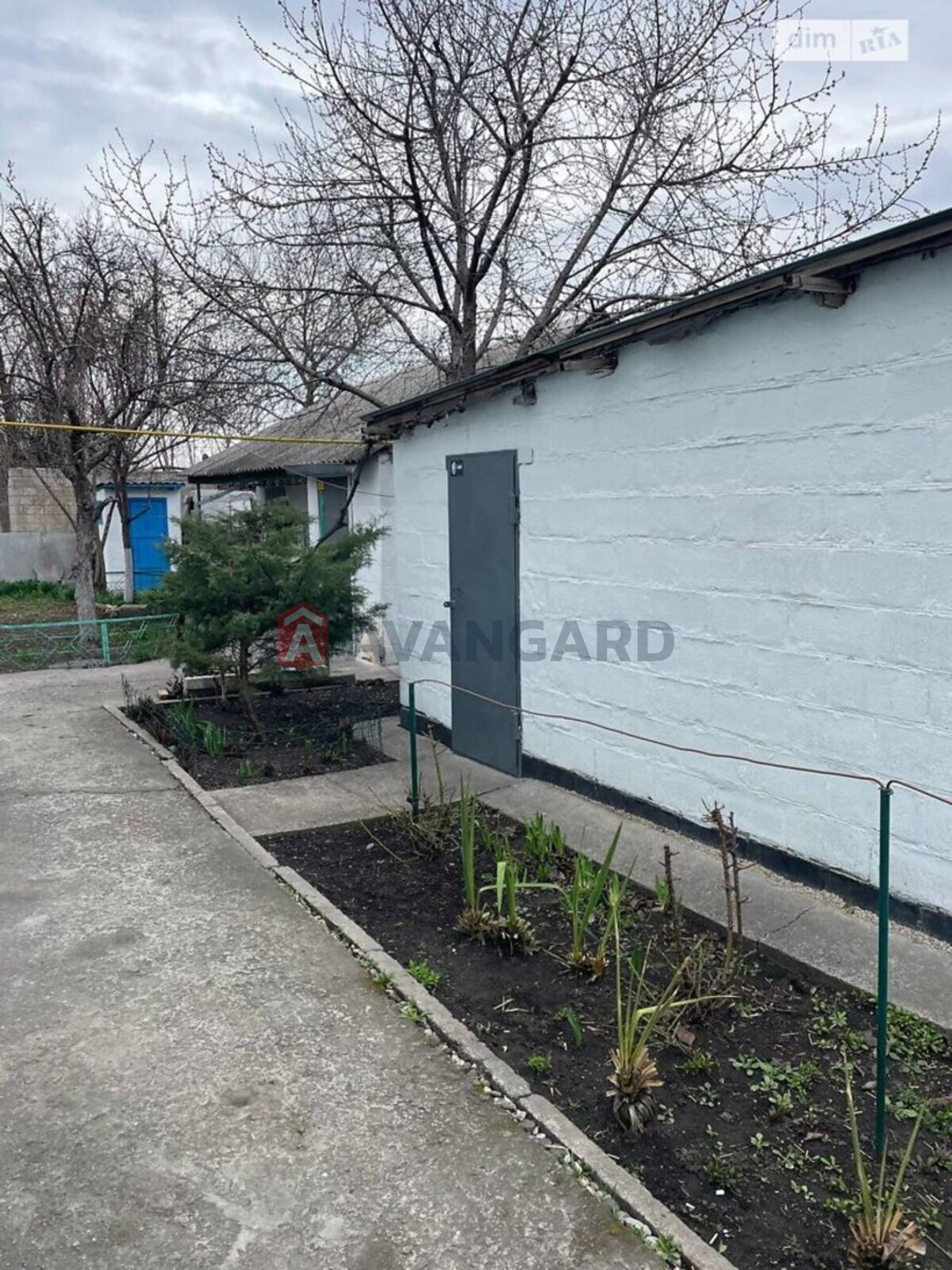 �������, 49 ��.�. ���� 8