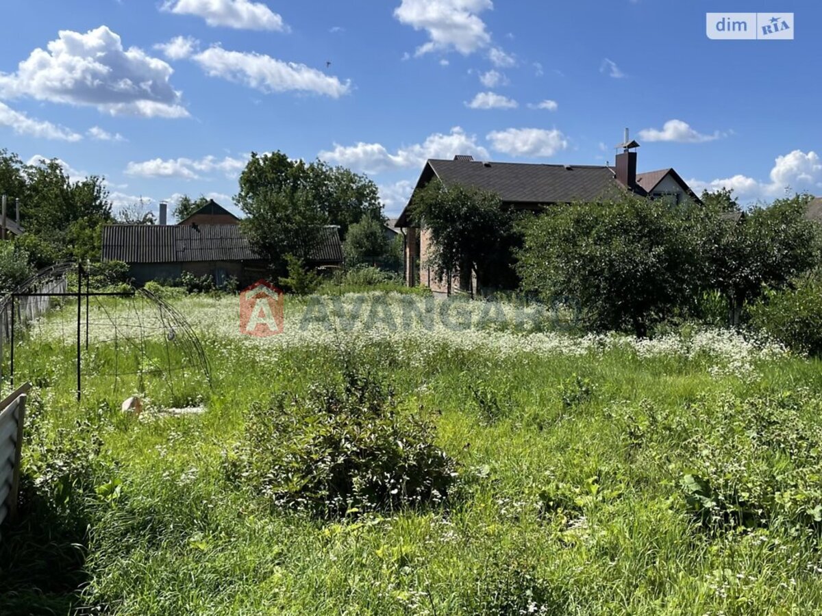 ���, 202 ��.�. ���� 12