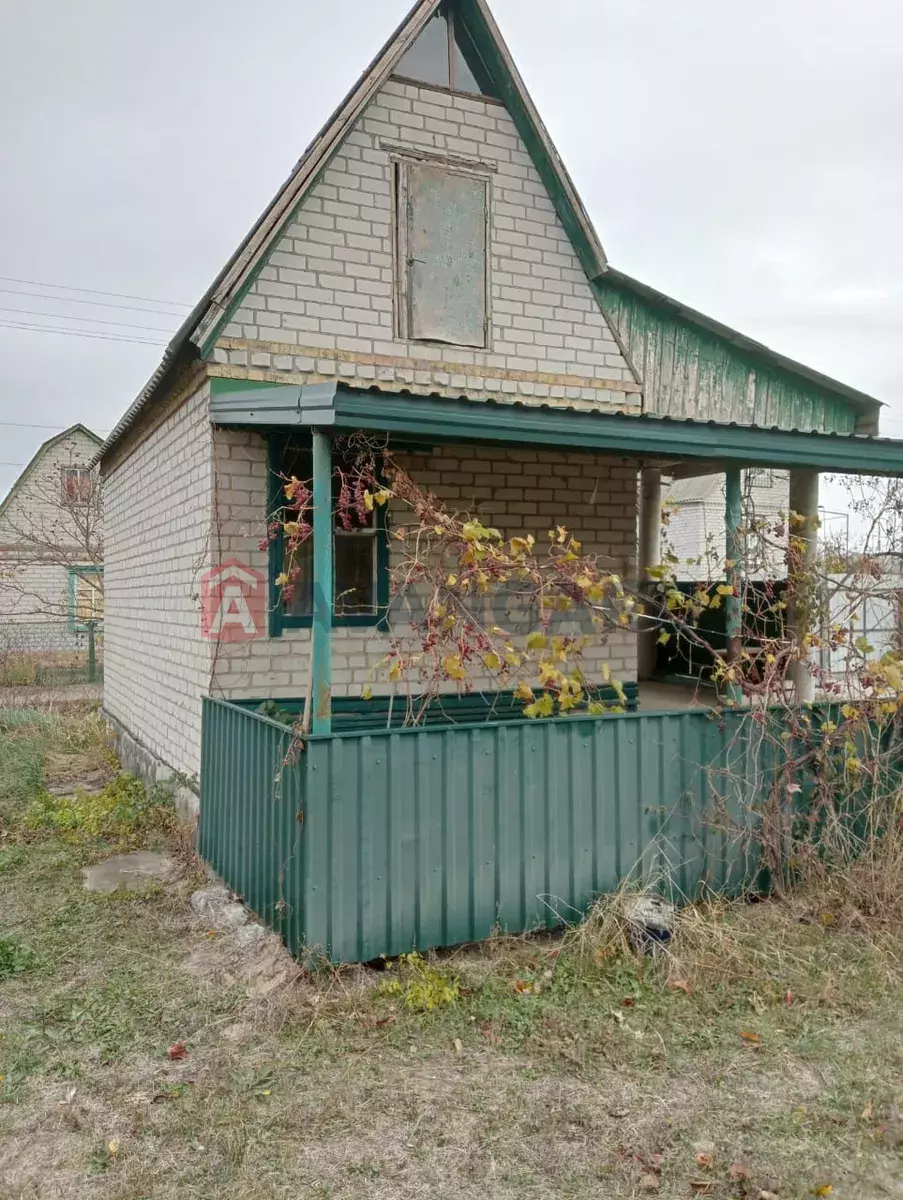 ����, 22 ��.�. ���� 5