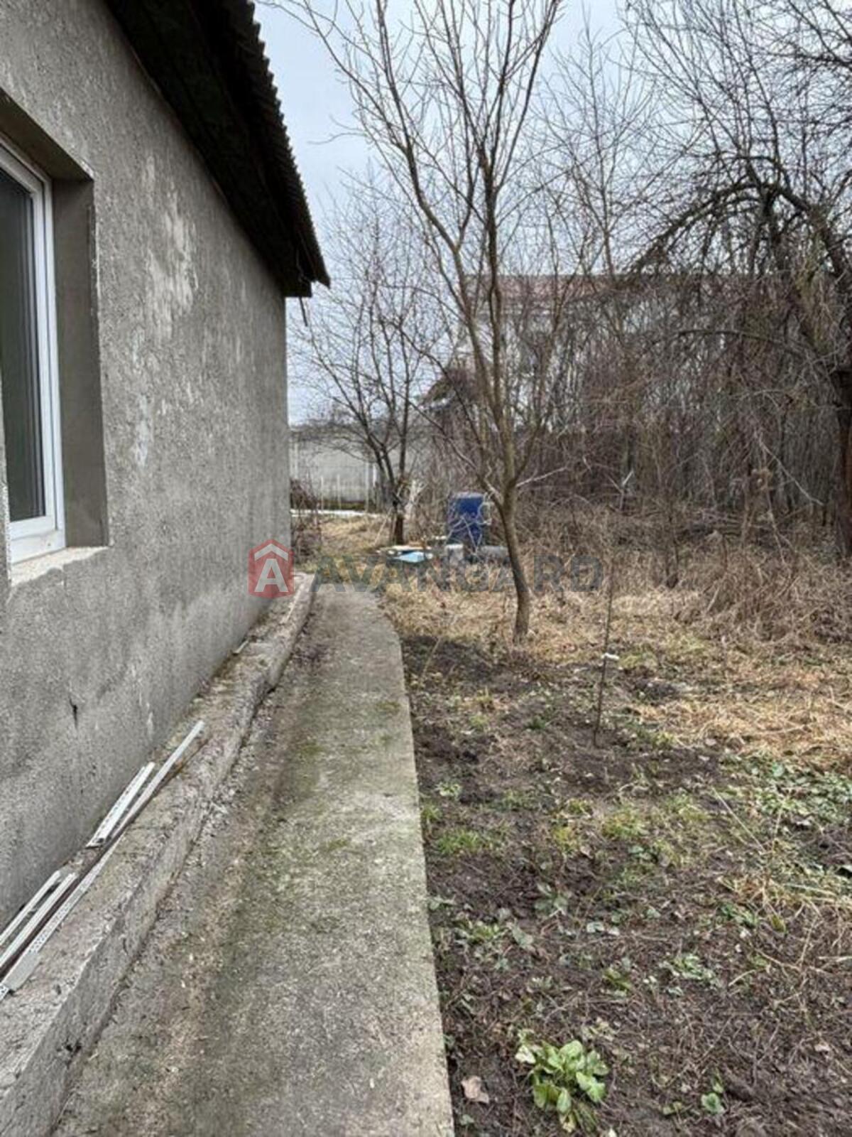 �������, 43 ��.�. ���� 2