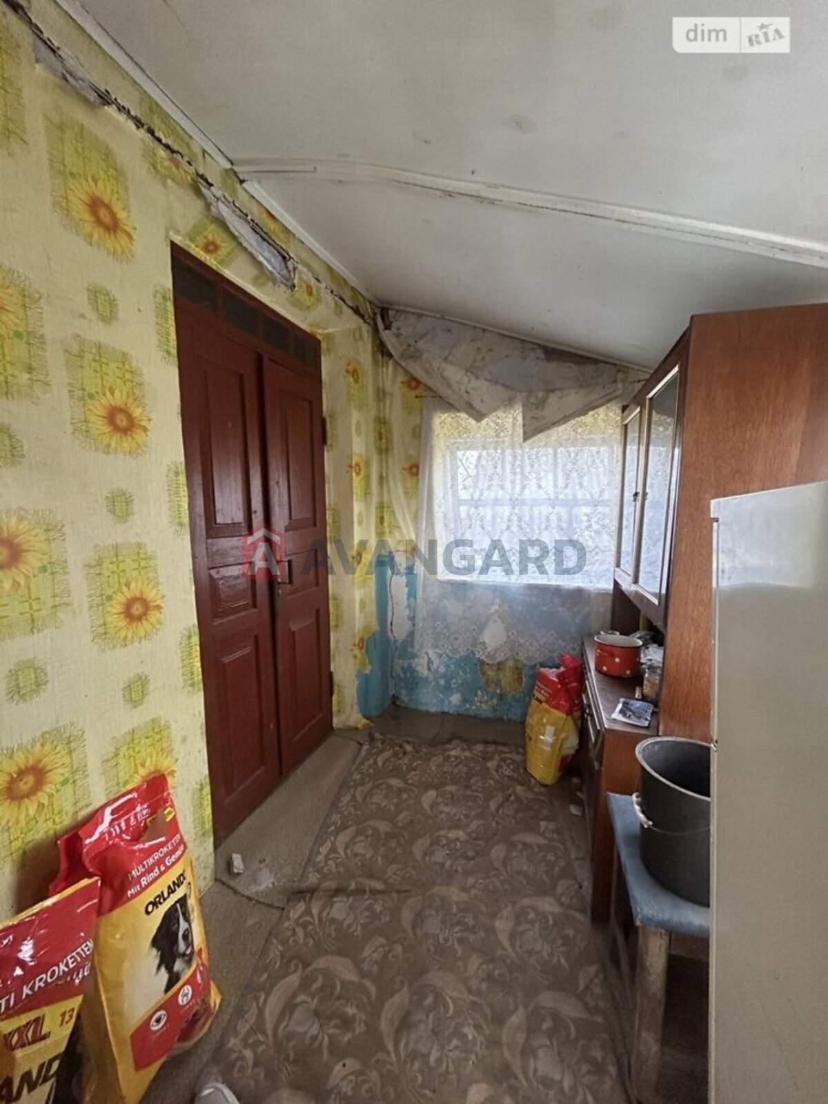 �������, 40 ��.�. ���� 3