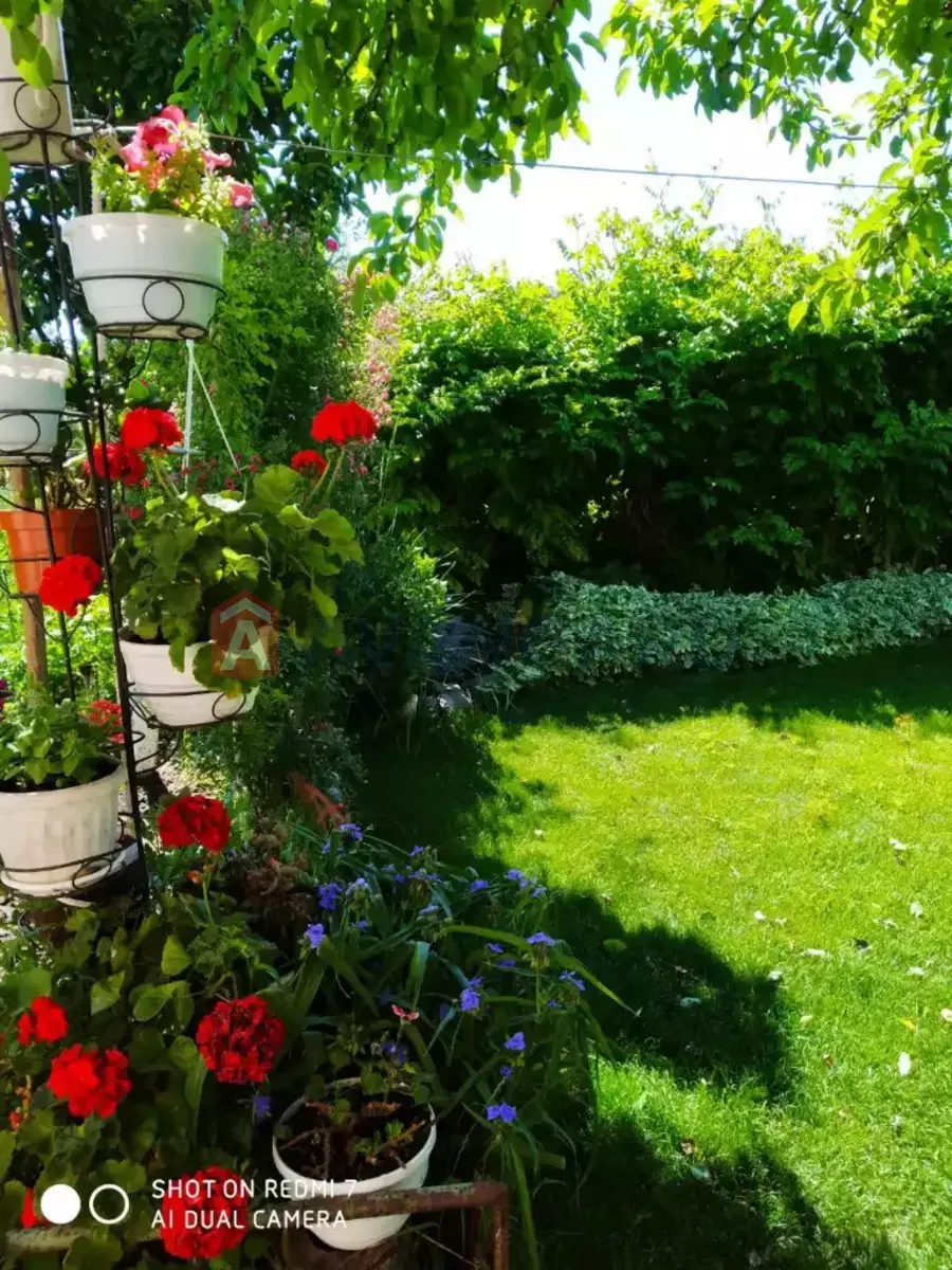 ���, 65 ��.�. ���� 24