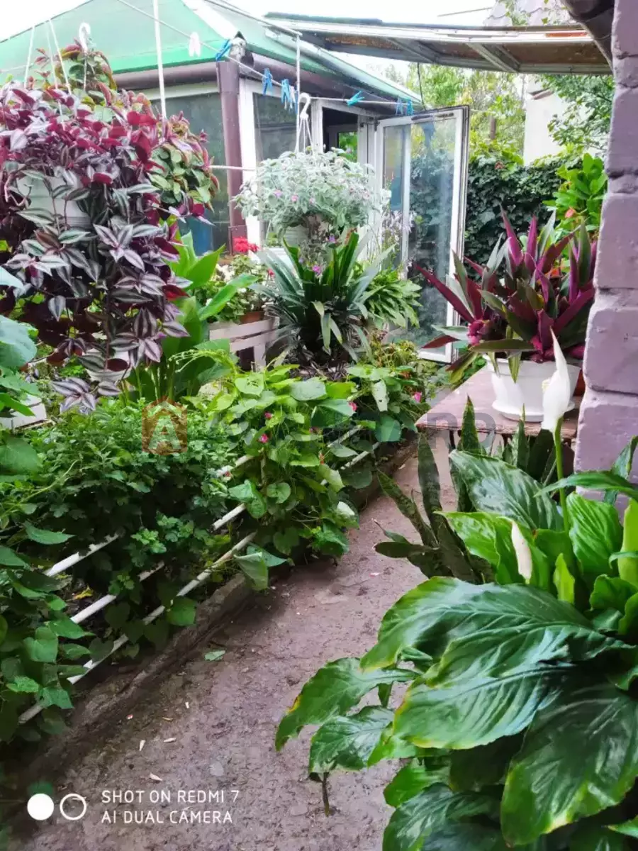 ���, 65 ��.�. ���� 30