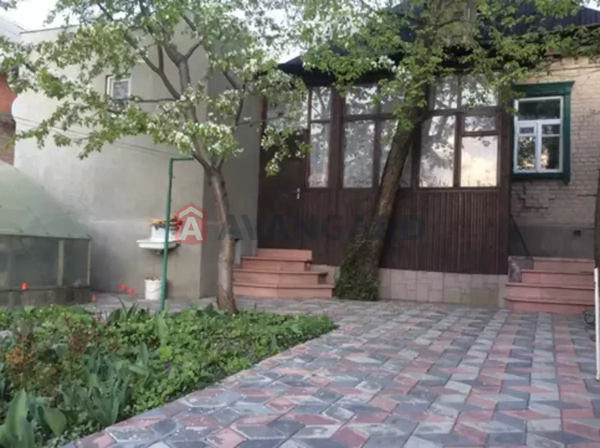 �������, 110 ��.�. ���� 14