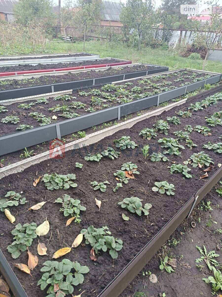 �������, 84 ��.�. ���� 24