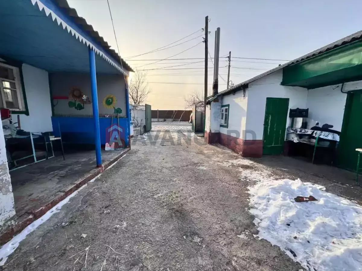 �������, 65 ��.�. ���� 3