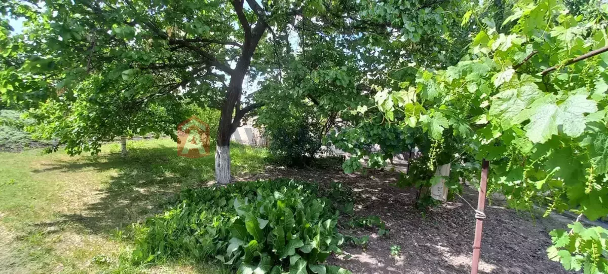 �������, 67 ��.�. ���� 17