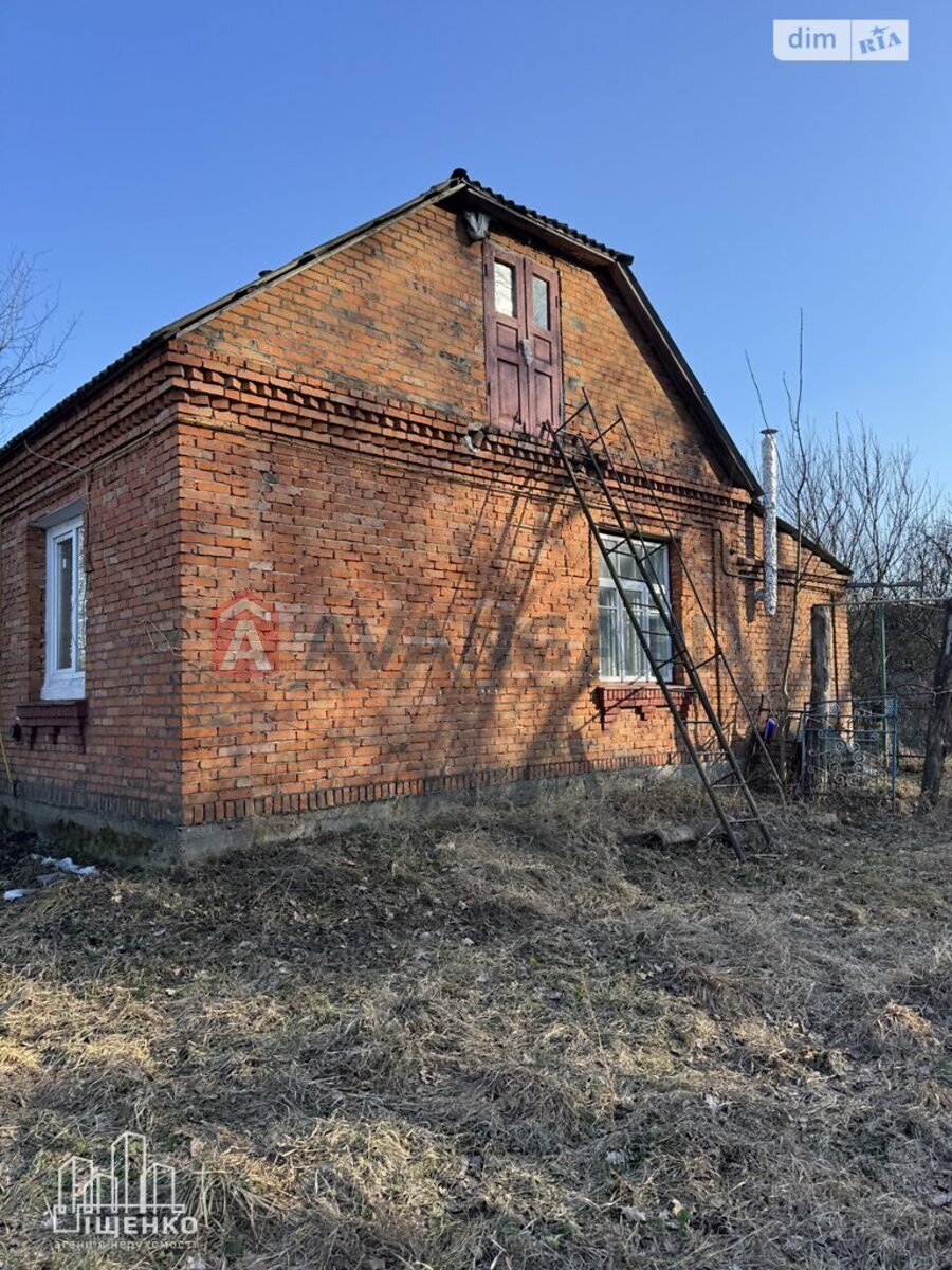 �������, 67 ��.�. ���� 20