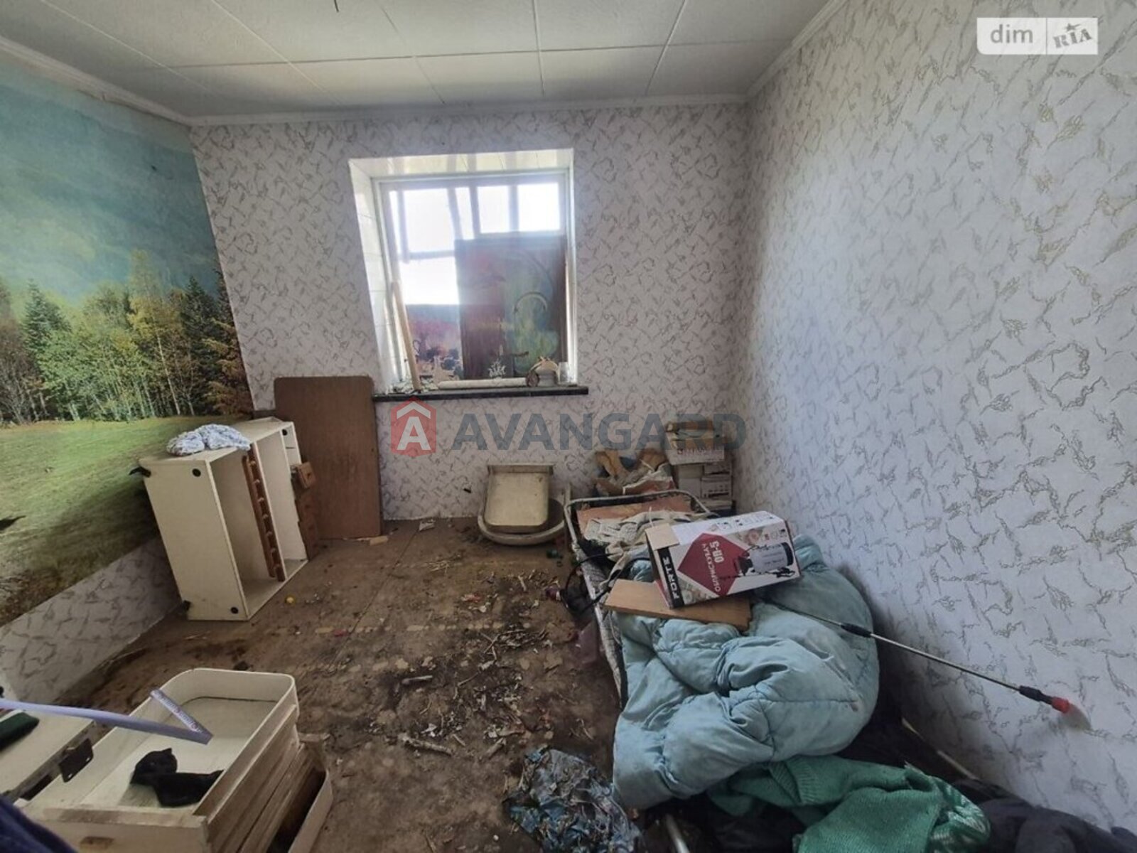 �������, 100 ��.�. ���� 15