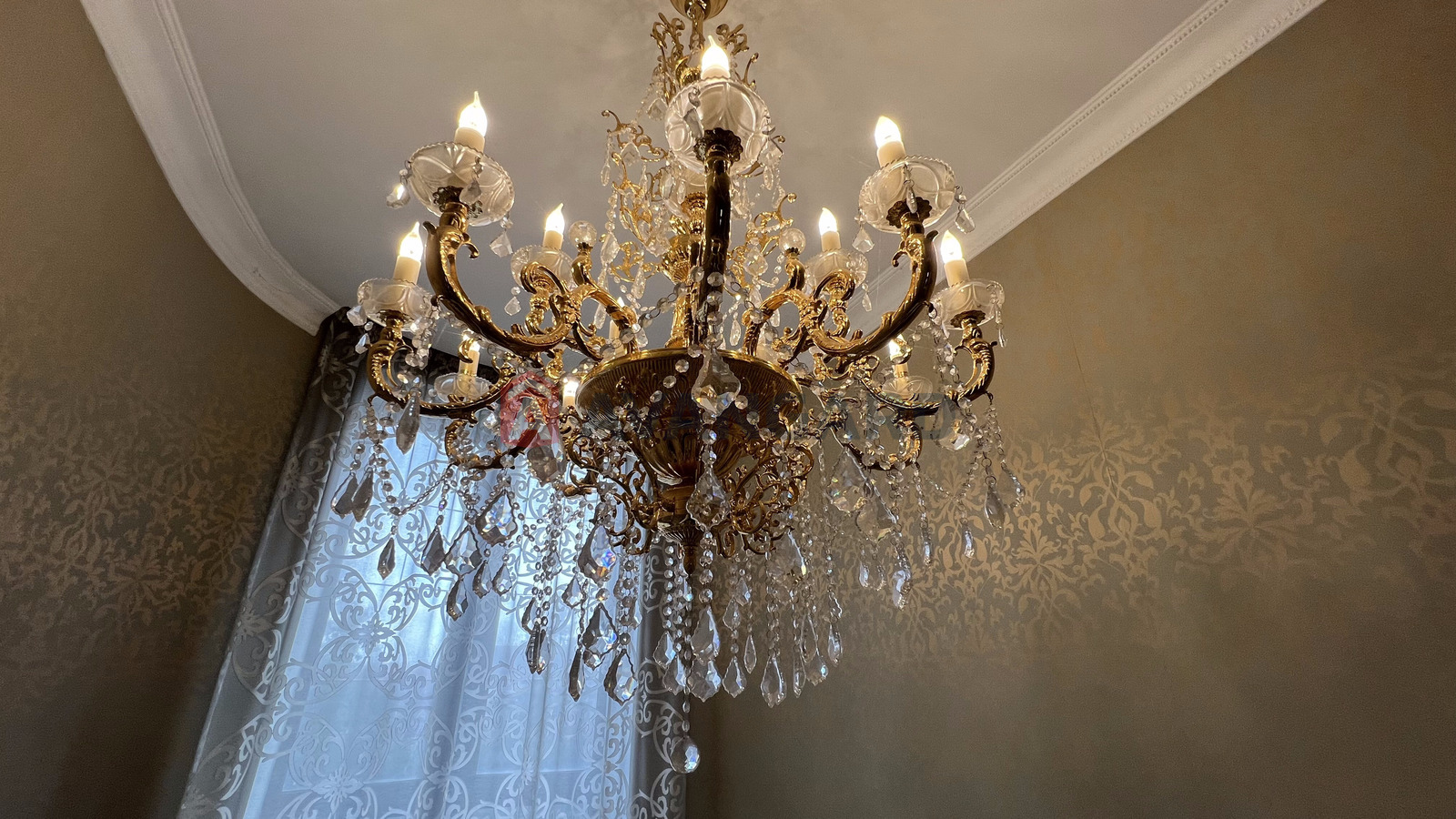 ���, 310 ��.�. ���� 8