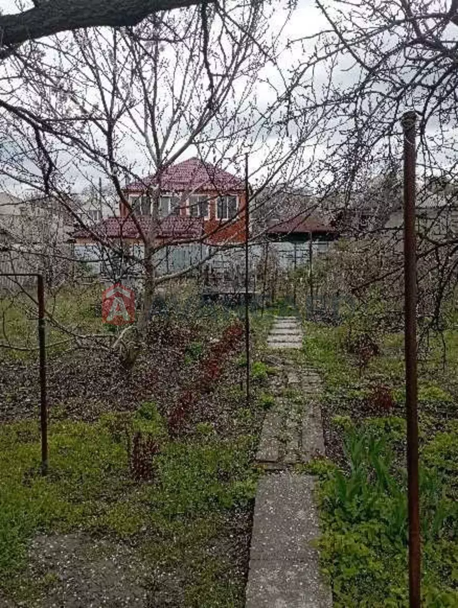 �������, 62 ��.�. ���� 5