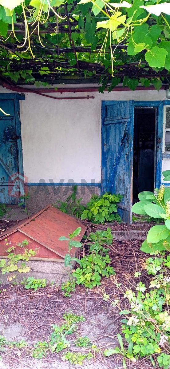 �������, 50 ��.�. ���� 11