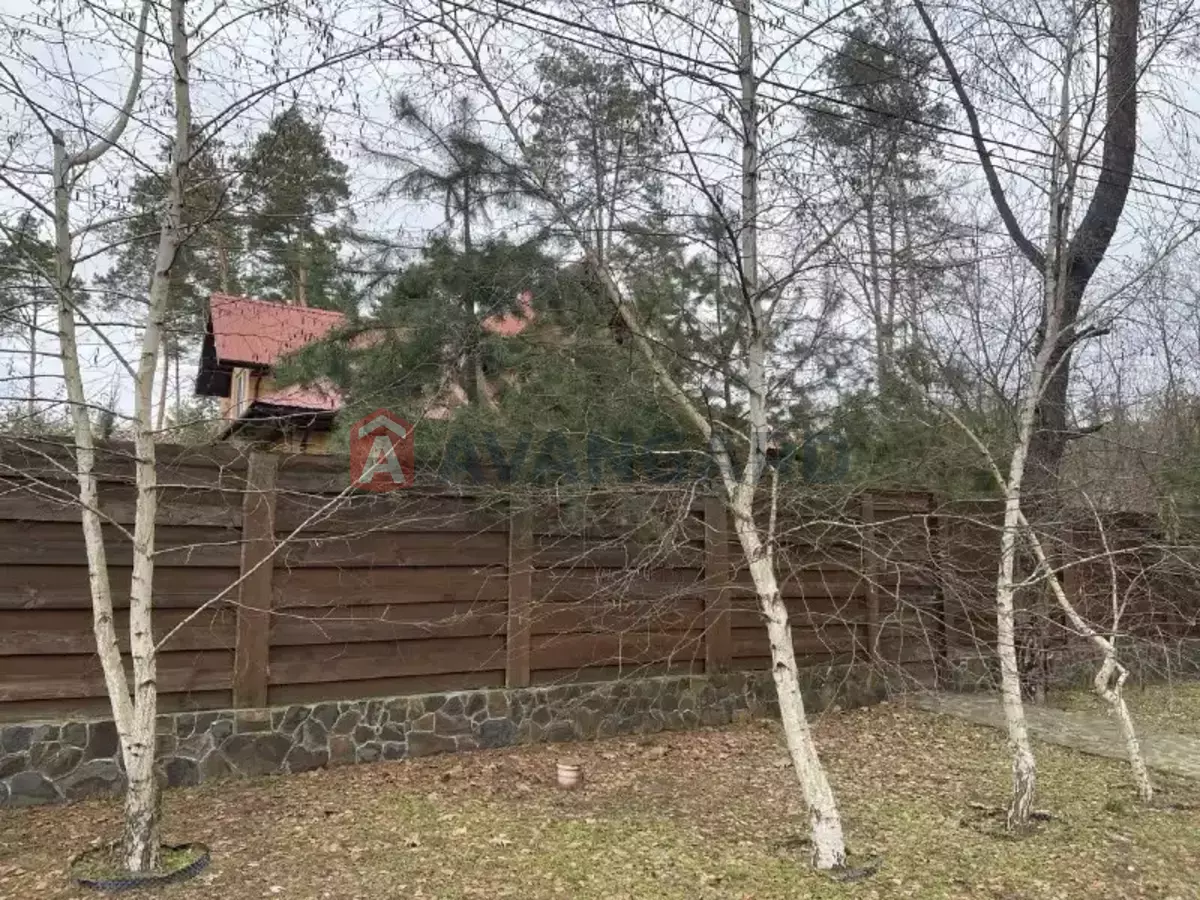 216 ��.�. ���� 10