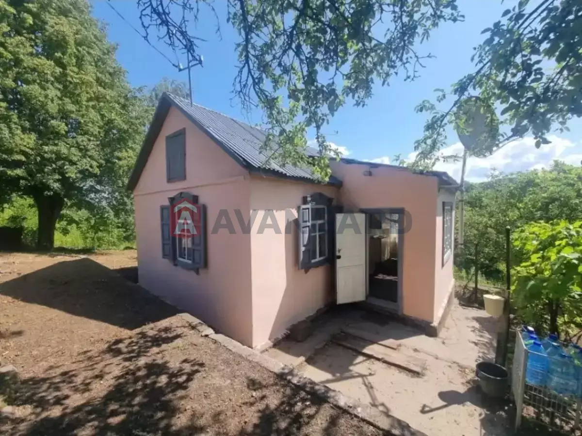 ����, 35 ��.�. ���� 12