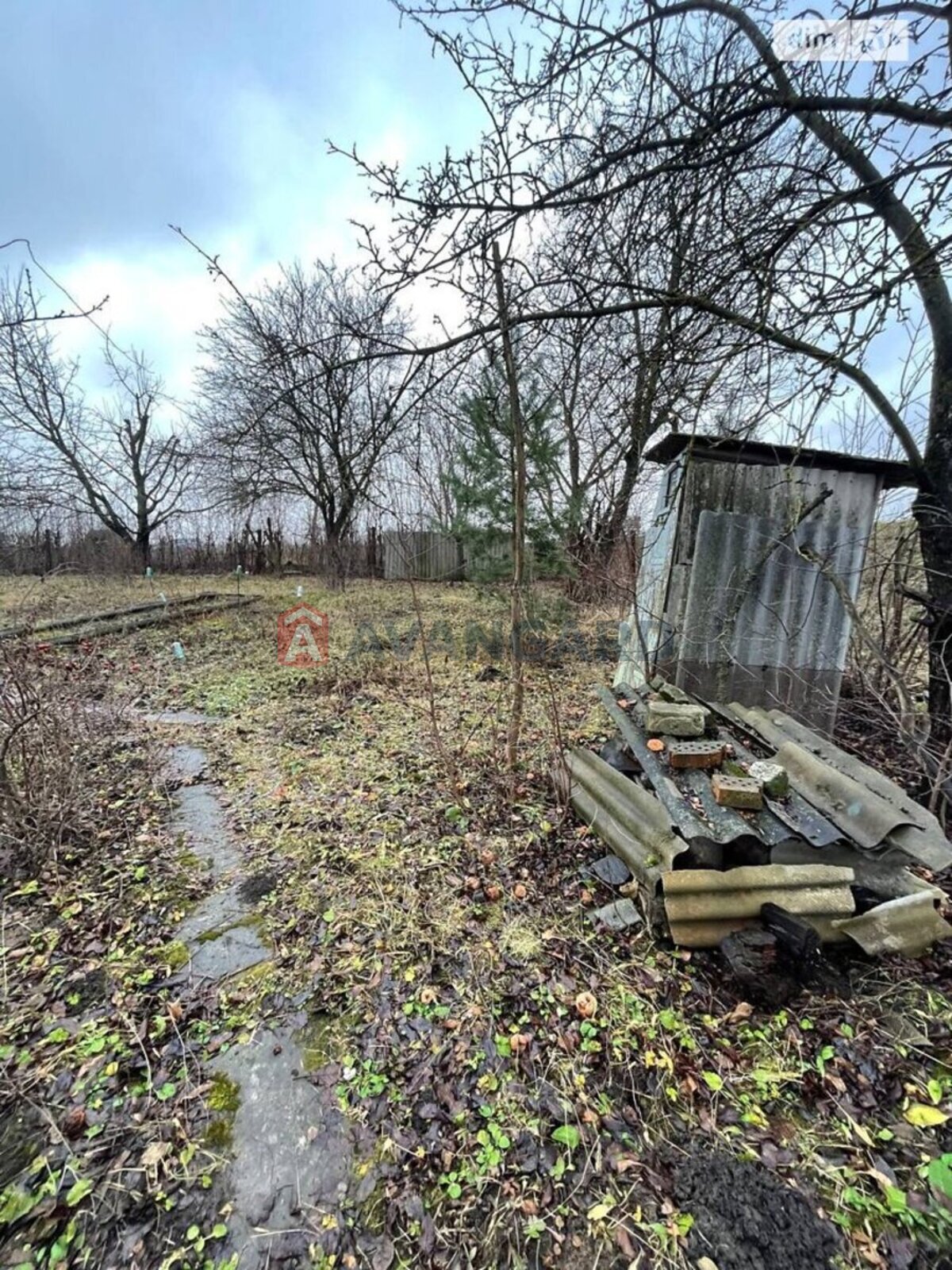 �������, 49 ��.�. ���� 15