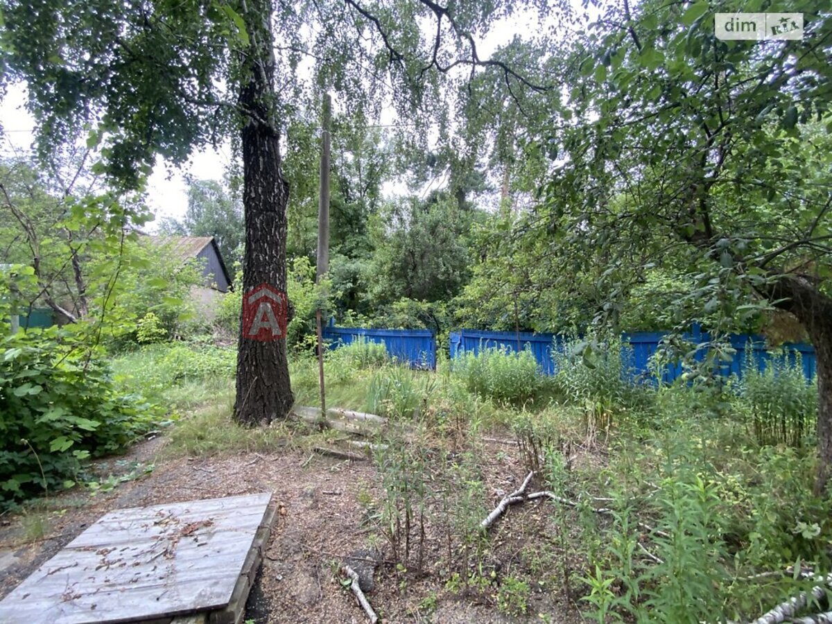 �������, 61 ��.�. ���� 2