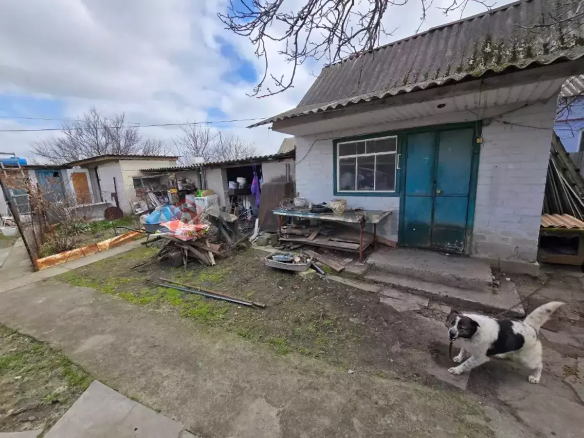 �������, 61 ��.�. ���� 24