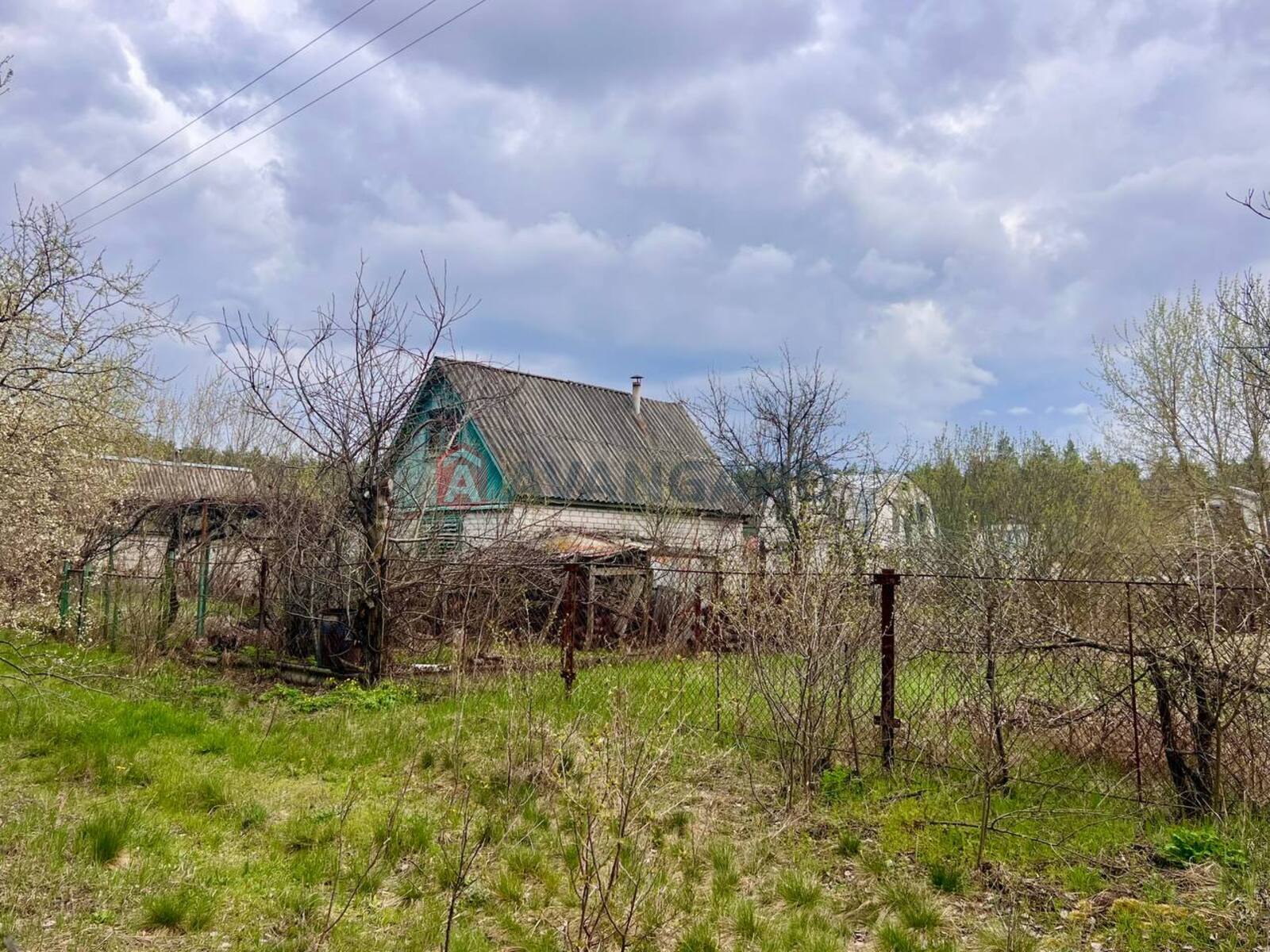 ����, 50 ��.�. ���� 15