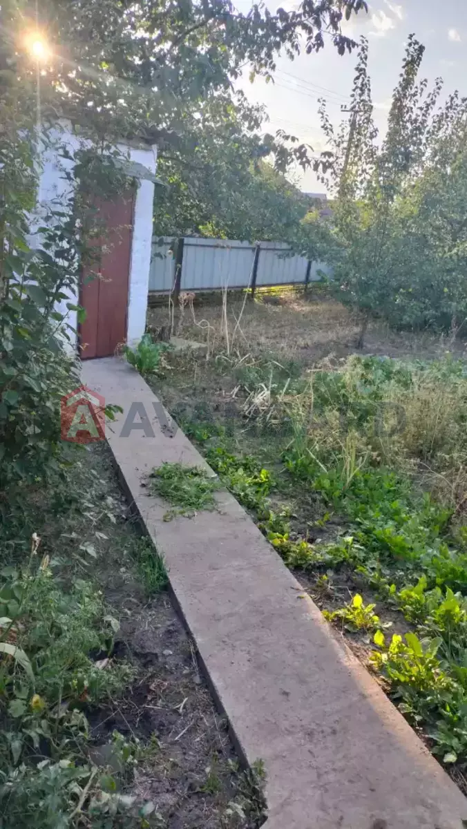 �������, 55 ��.�. ���� 5