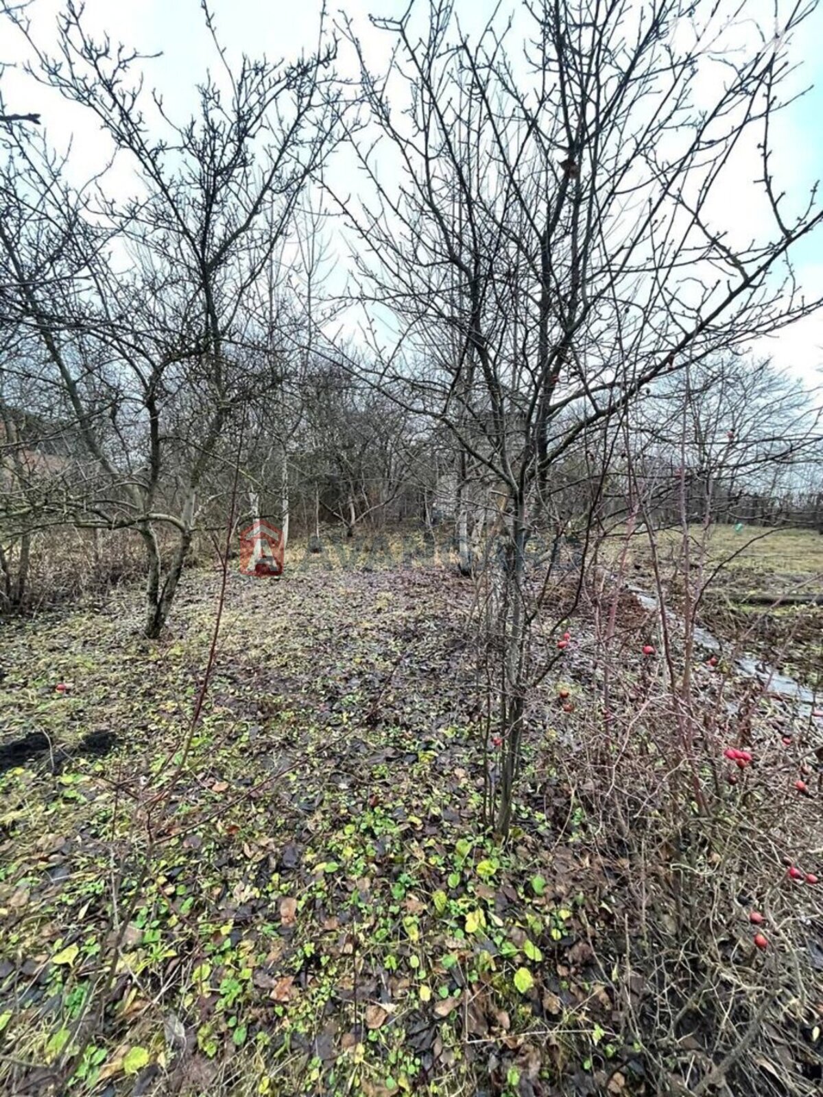 �������, 49 ��.�. ���� 13