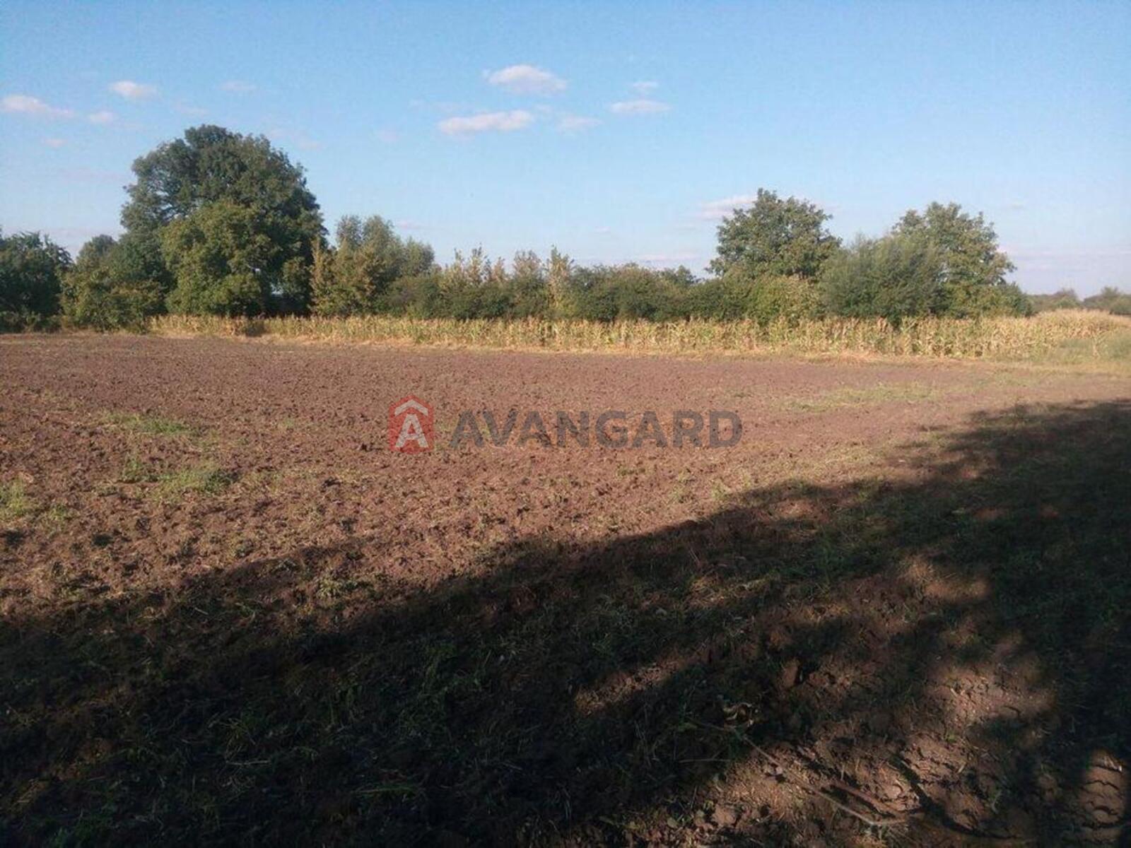 70 ��.�. ���� 2