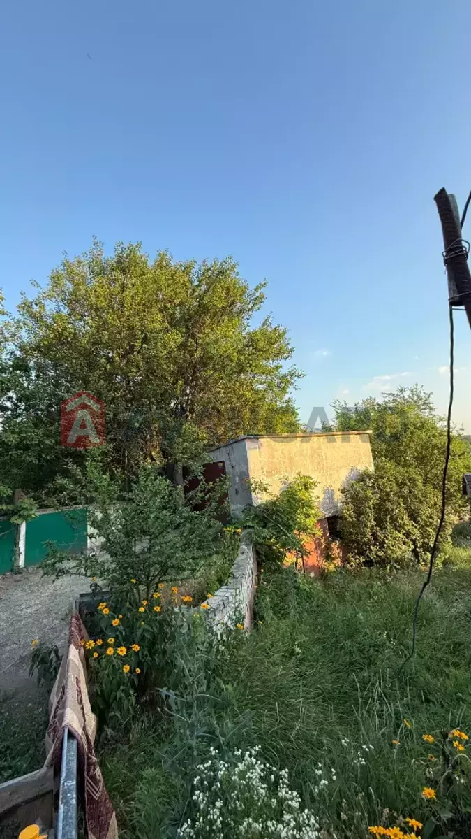 �������, 124 ��.�. ���� 5