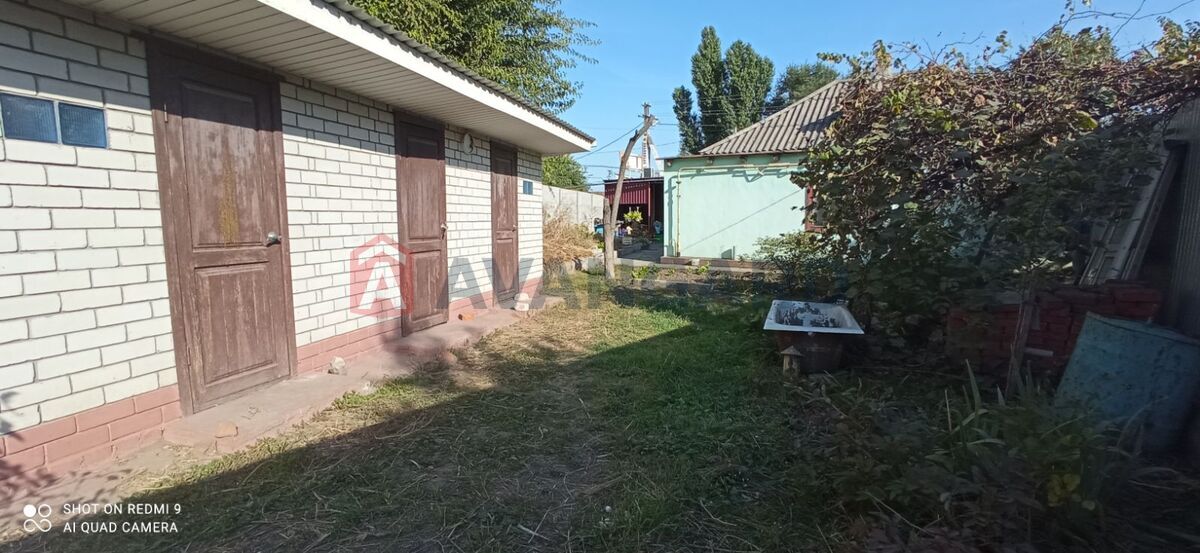 �������, 55 ��.�. ���� 5