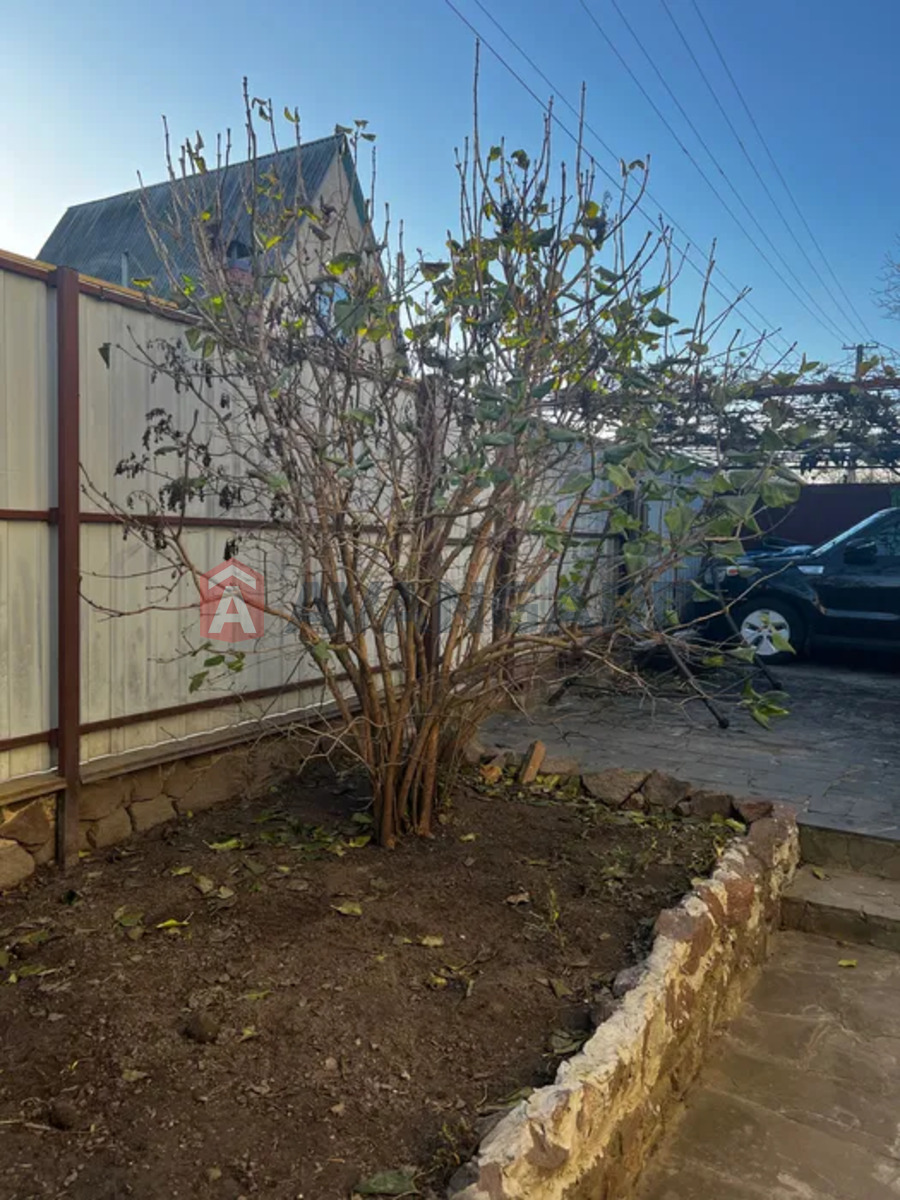 ���, 80 ��.�. ���� 2