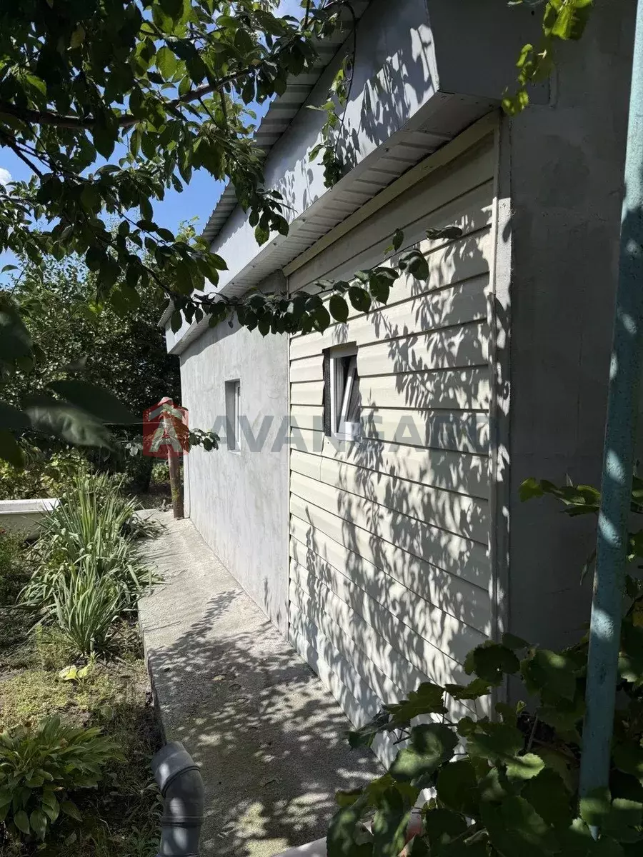 ����, 50 ��.�. ���� 2