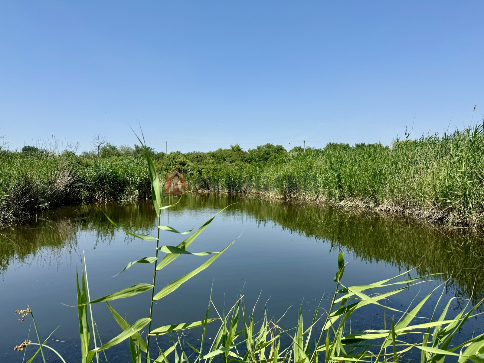 ���, 191 ��.�. ���� 17