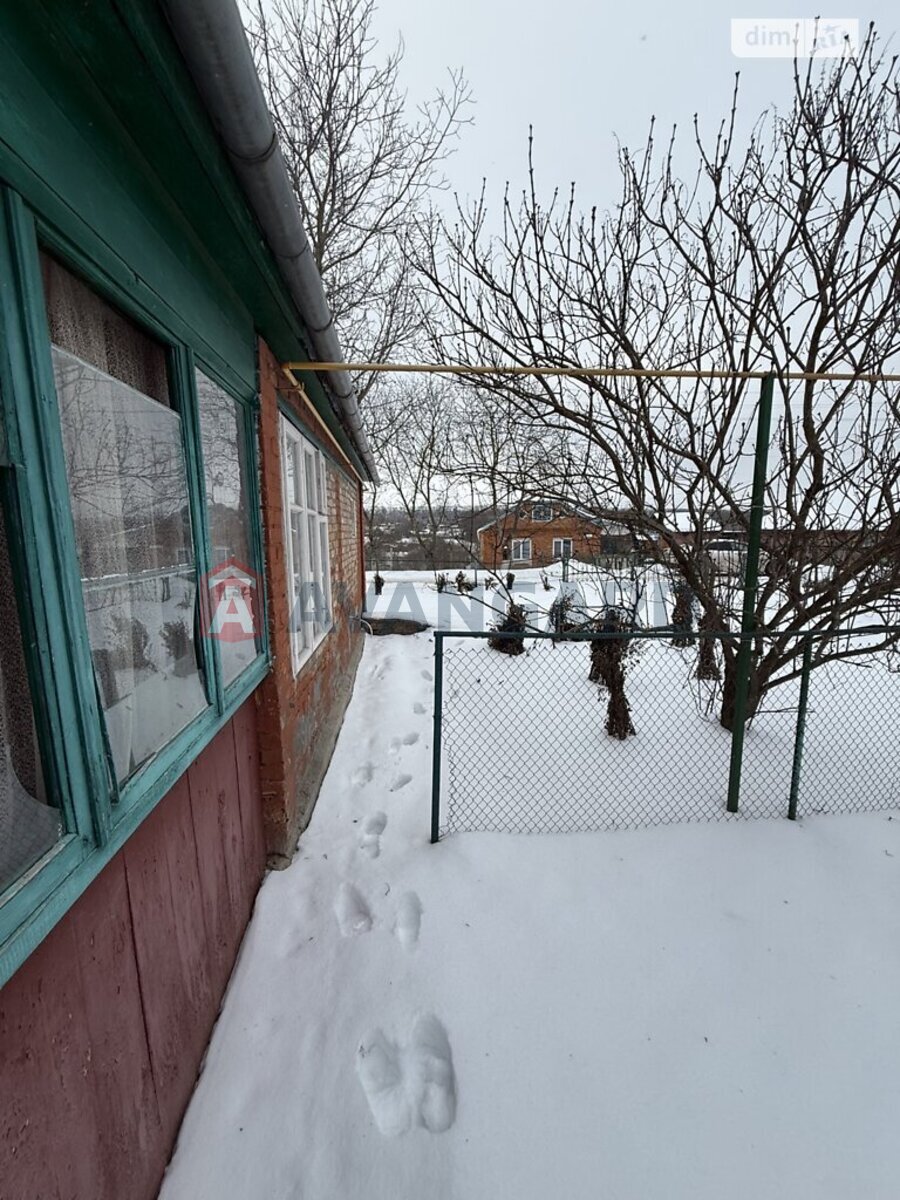 �������, 115 ��.�. ���� 15