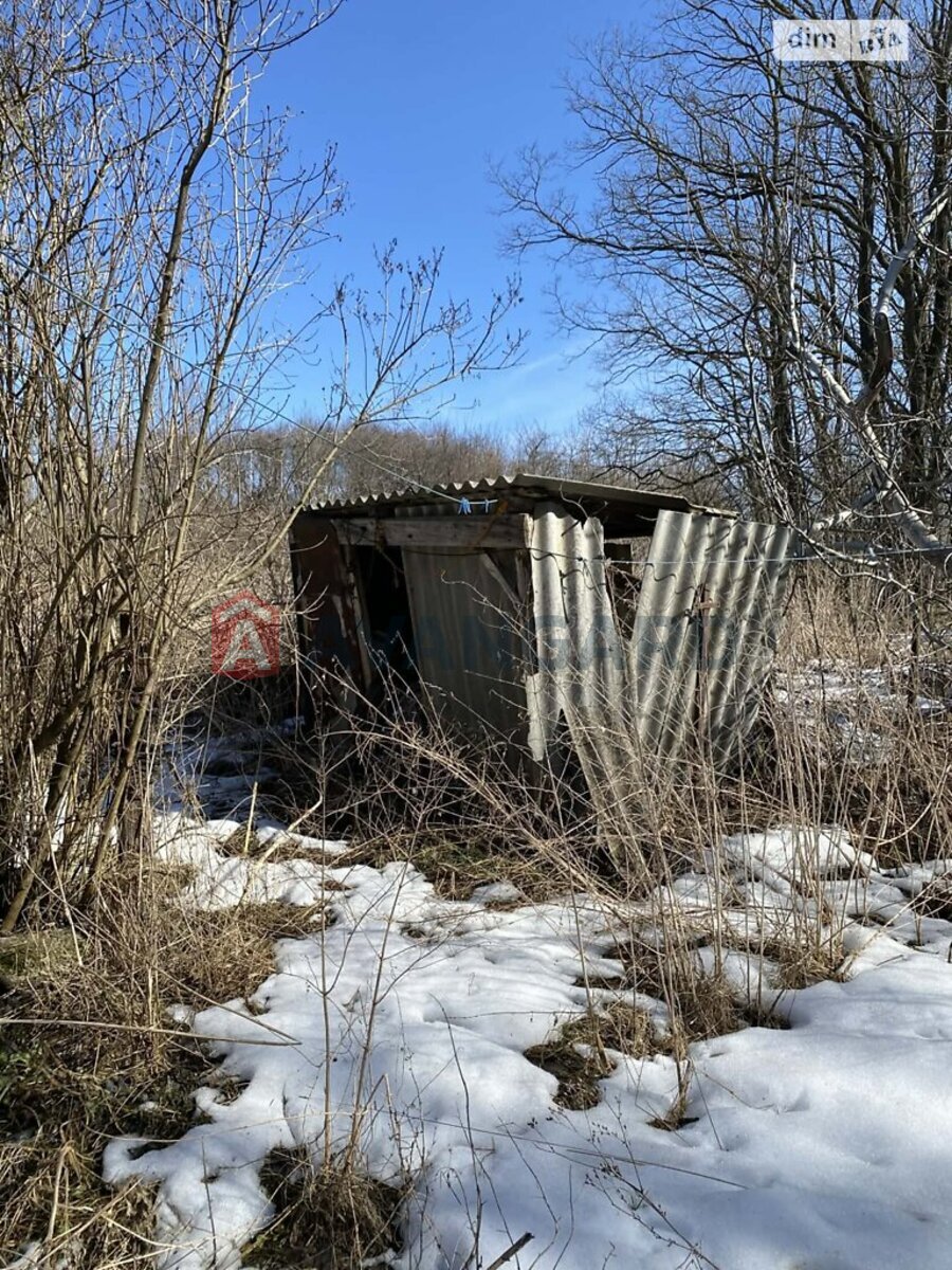 �������, 80 ��.�. ���� 19