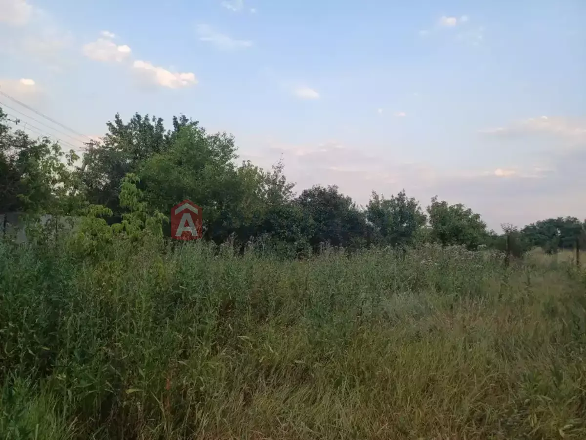 �������, 305 ��.�. ���� 2