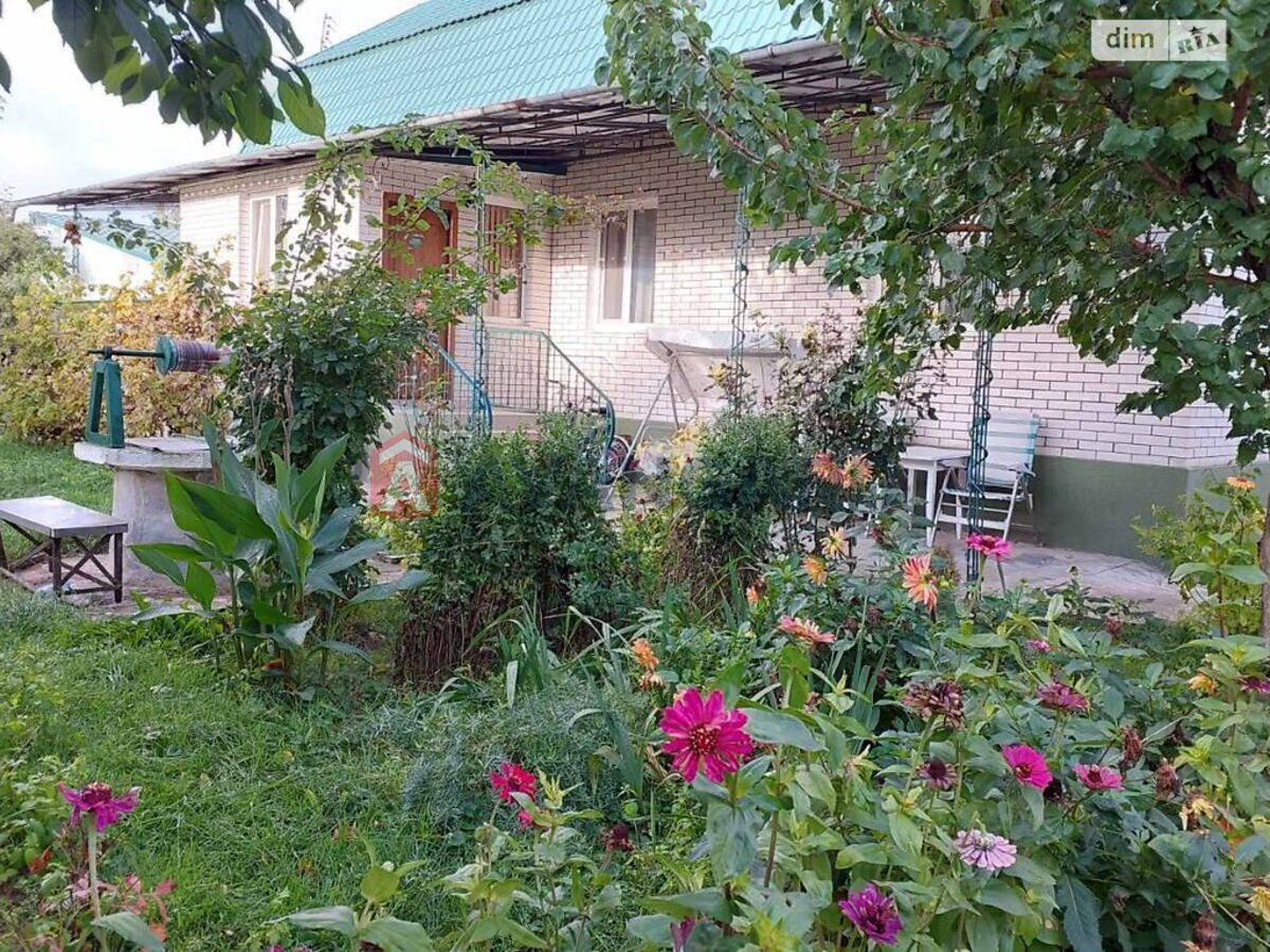 �������, 163 ��.�. ���� 3