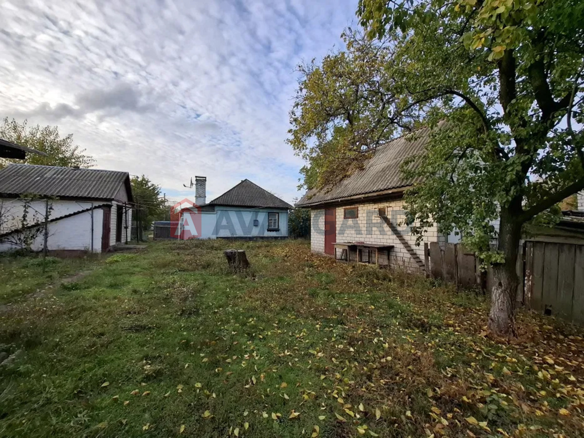 �������, 62 ��.�. ���� 6