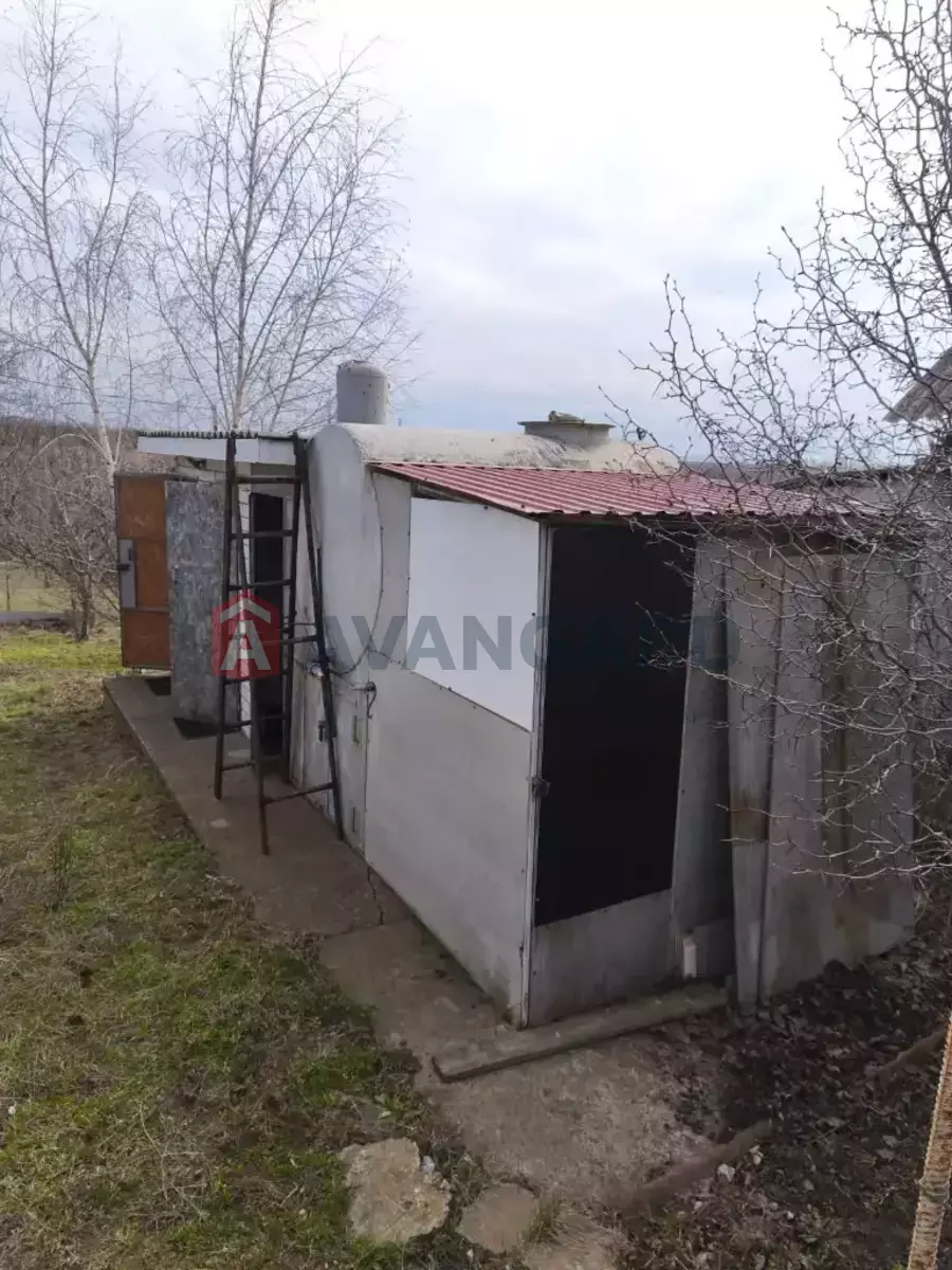 �������, 39 ��.�. ���� 14